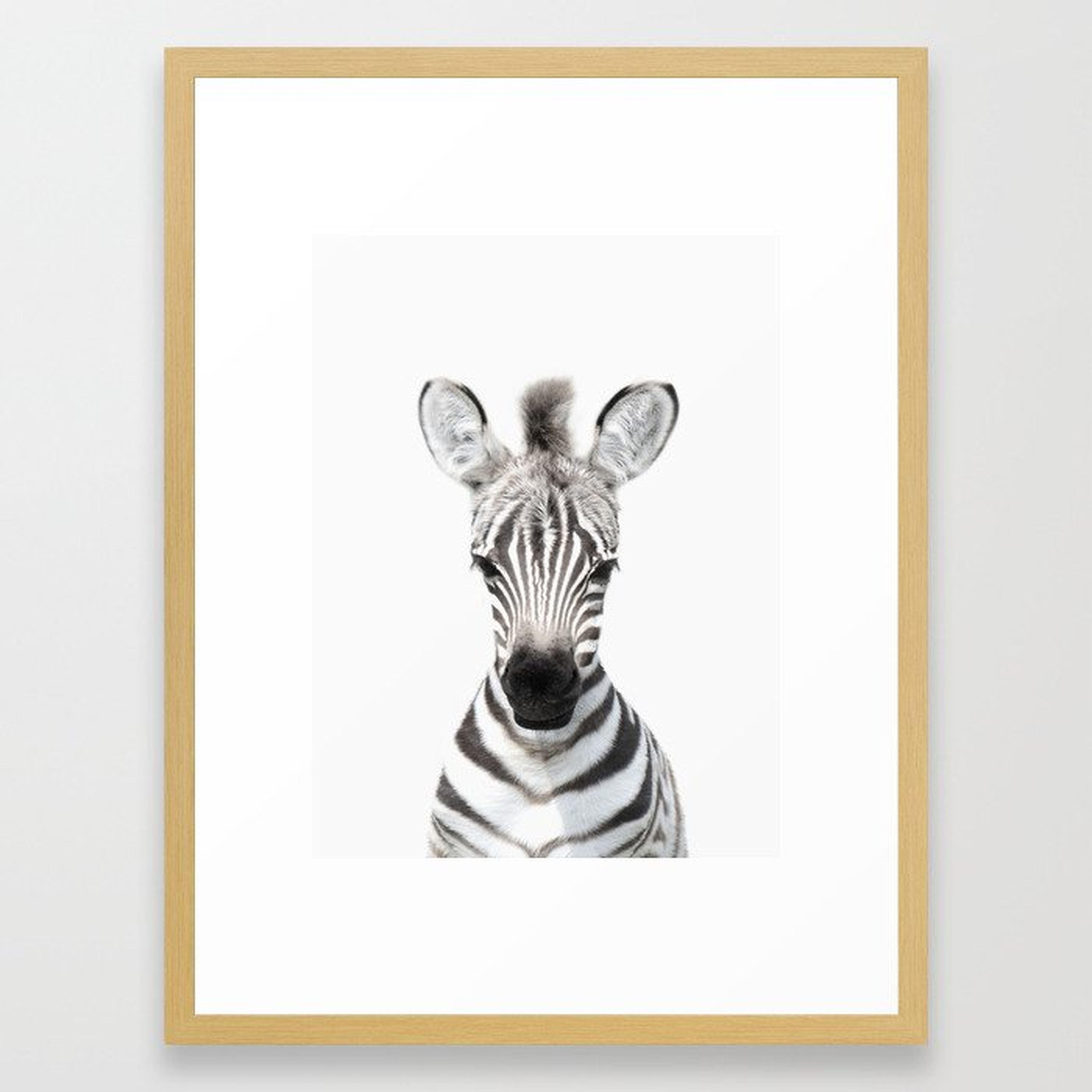 Baby Zebra, Baby Animals Art Prints by Synplus Framed Art Print - Society6