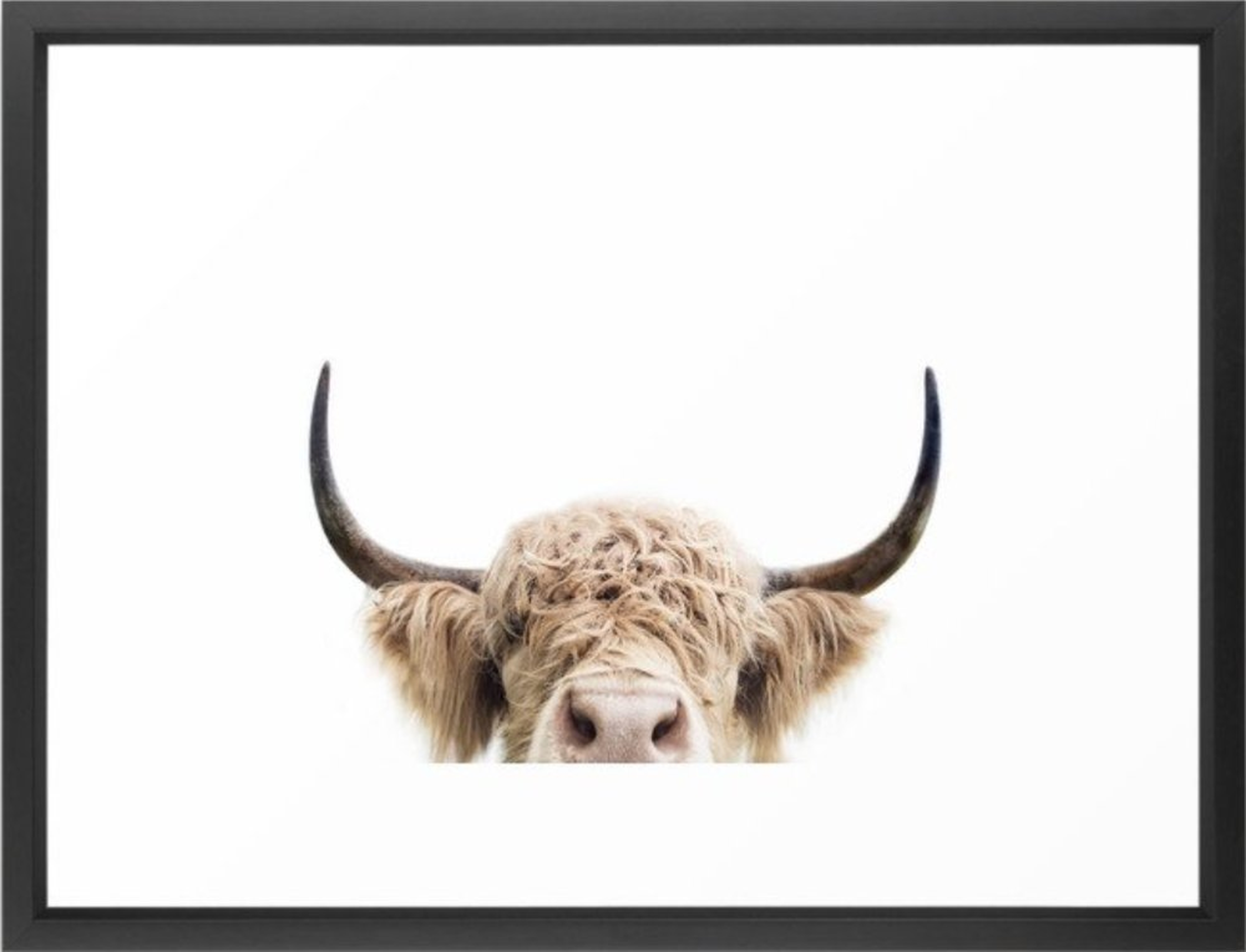 Peeking Highland Cow Framed Art Print by Sisi And Seb, 20" x 26"", Walnut frame - Society6
