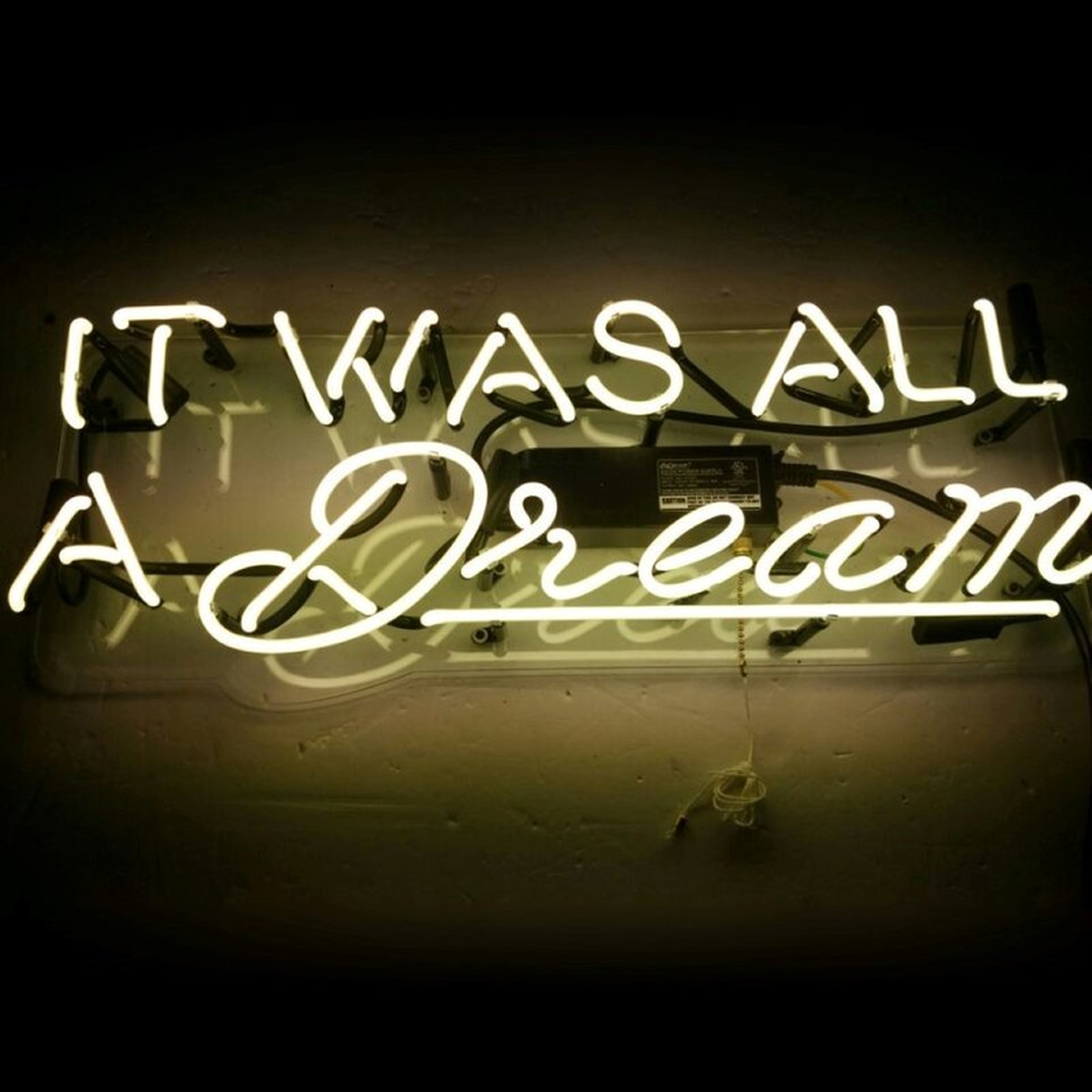 Neon "It Was All a Dream" Themed Sign Set - Wayfair