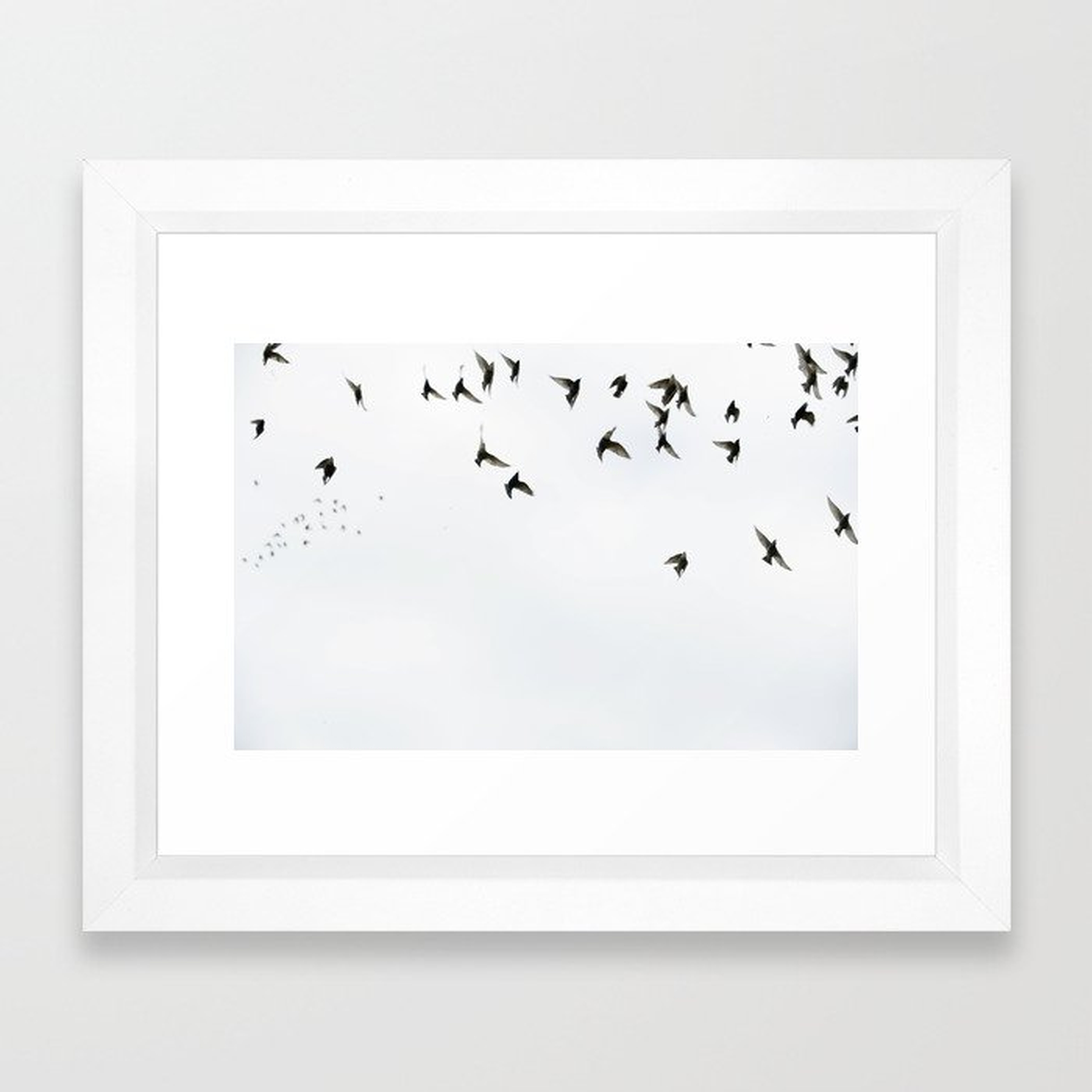 Birds Framed Art Print - Society6