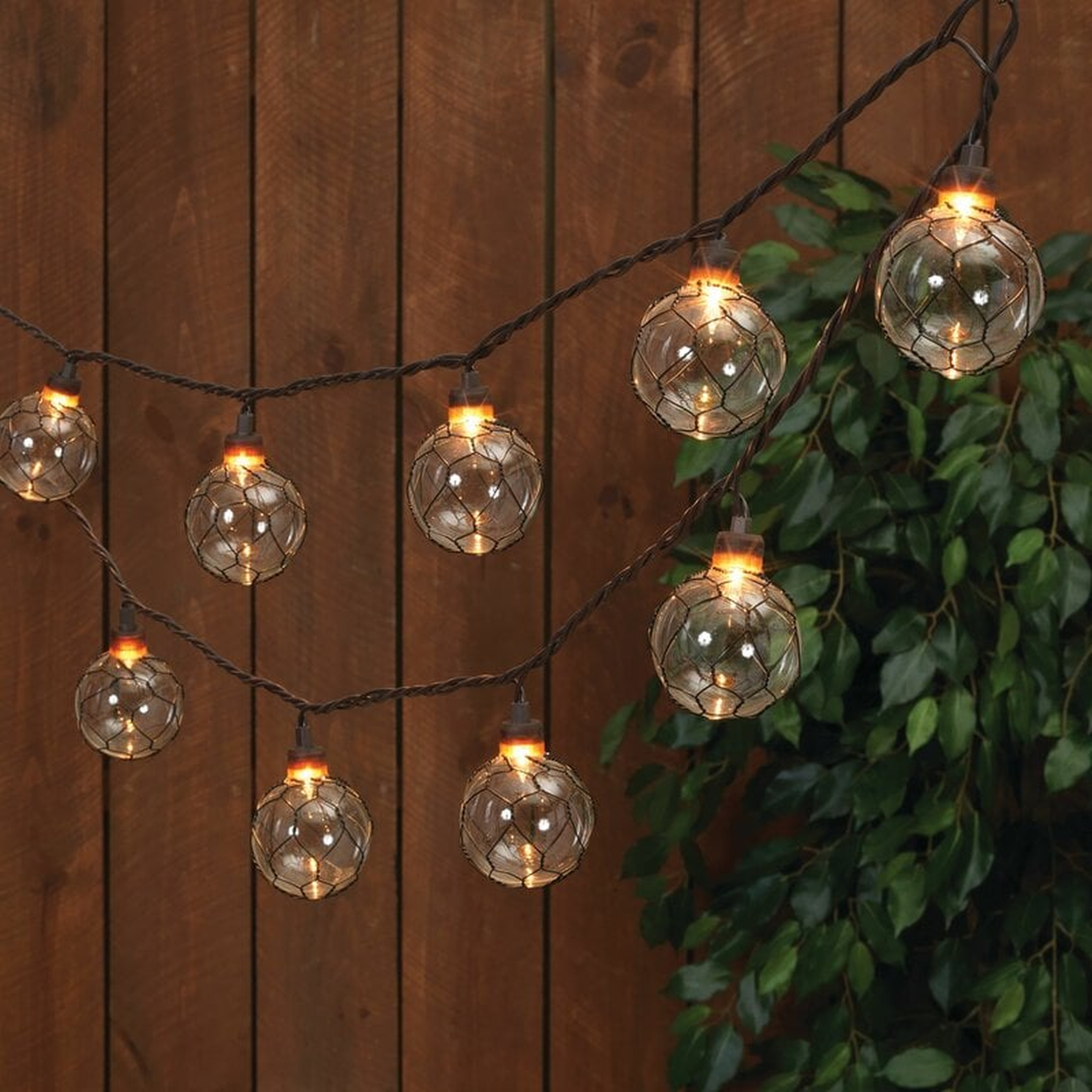 Honora Chicken Wire 8.5 ft. 10-Bulb Globe String Light - Wayfair