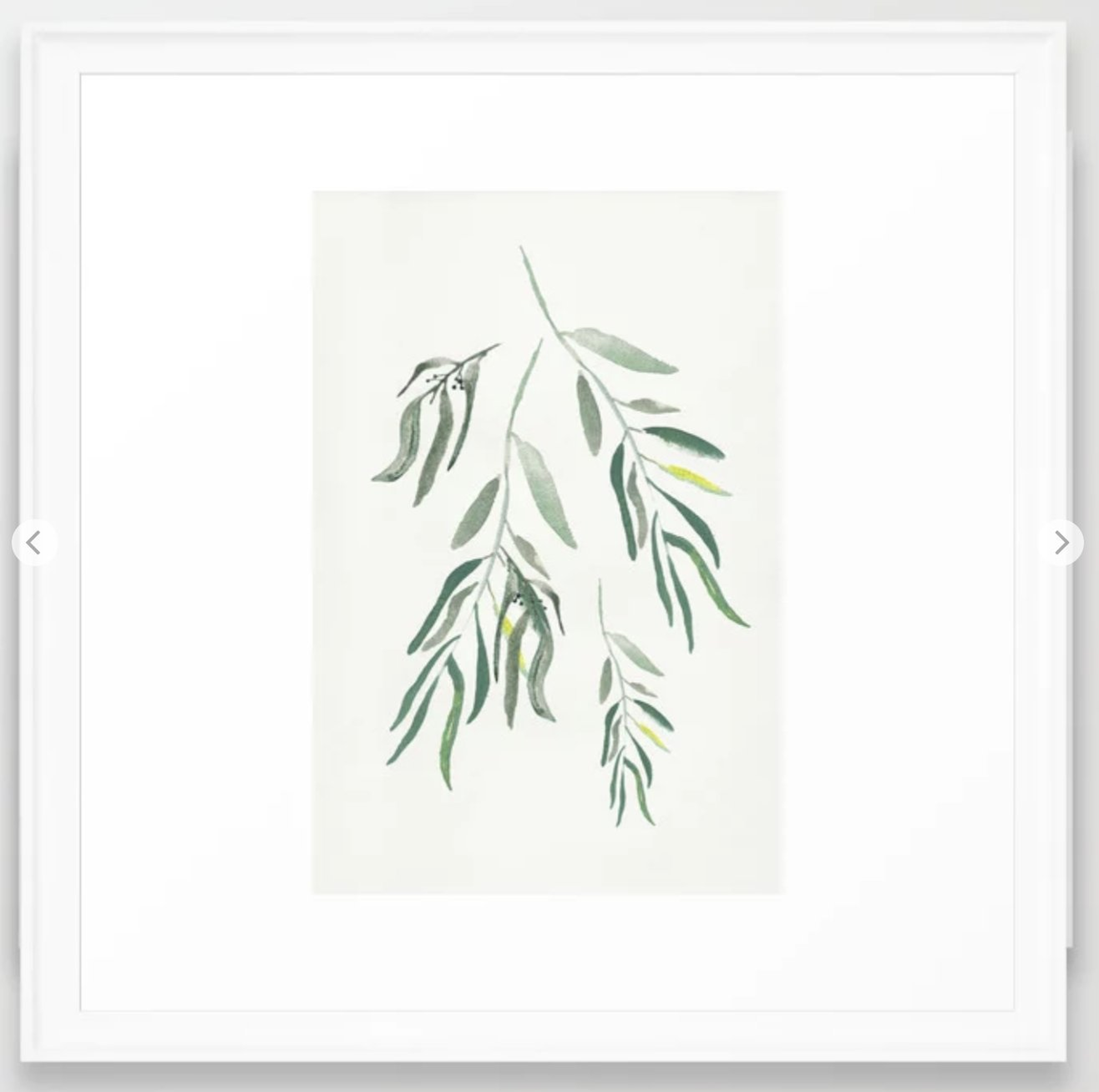 Eucalyptus Branches II Framed Art Print - 22"X22" - Society6