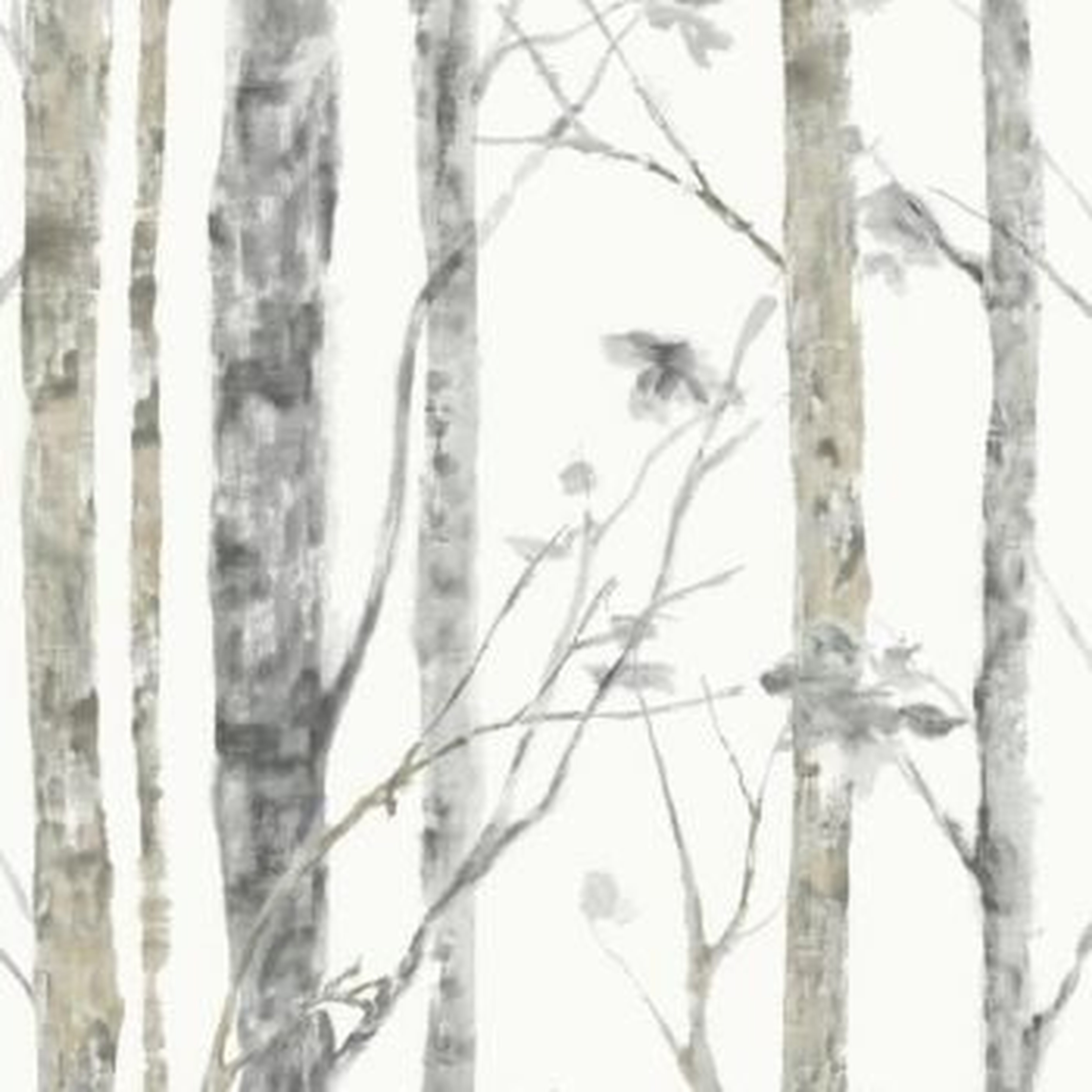 Birch Trees Peel and Stick Wallpaper - York Wallcoverings