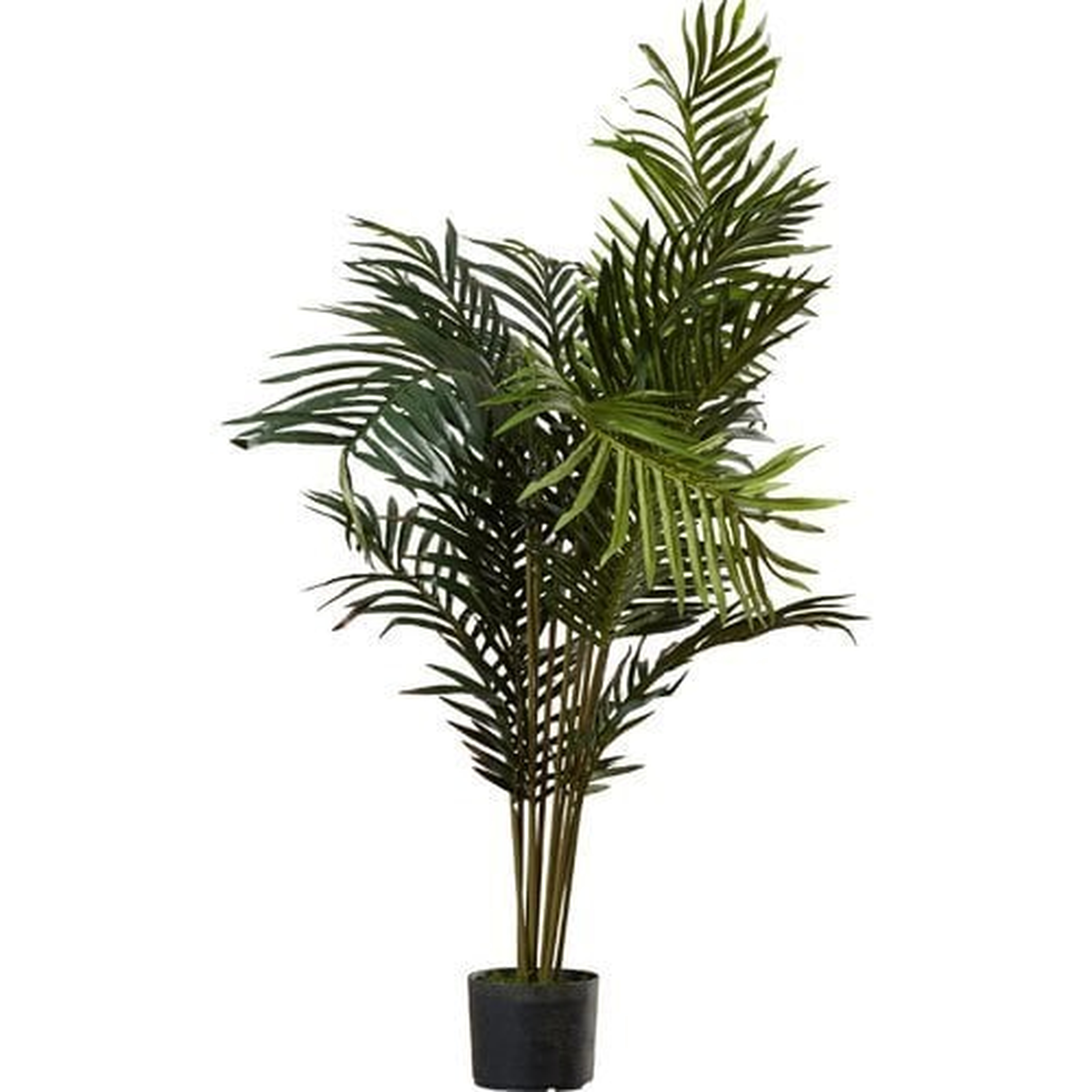 Fronds Esters 60" Artificial Palm Plant - Wayfair