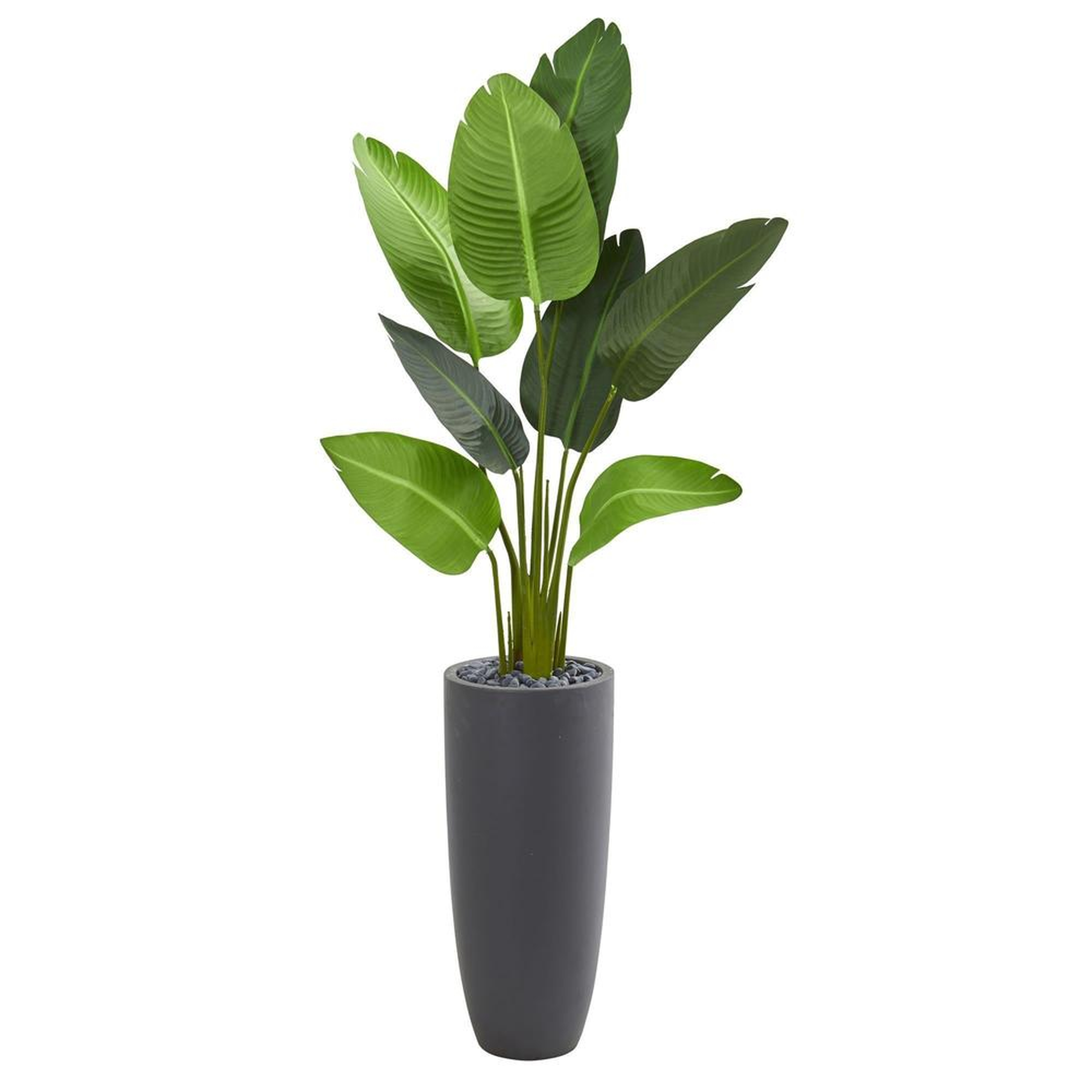 Indoor 5.5 ft. Traveler's Palm Artificial Tree in Gray Planter - Fiddle + Bloom