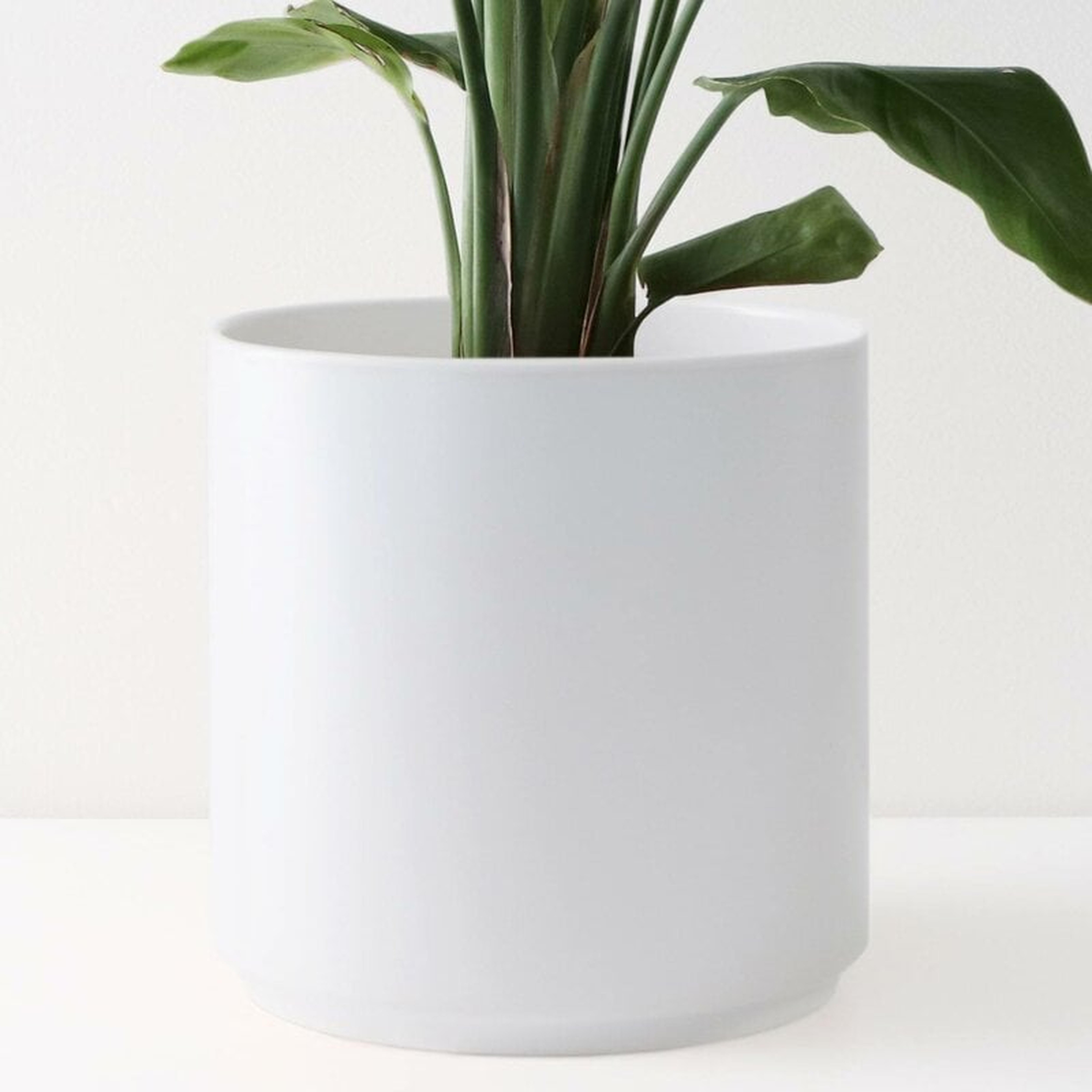 Peach & Pebble Modern Porcelain Pot Planter White - Wayfair