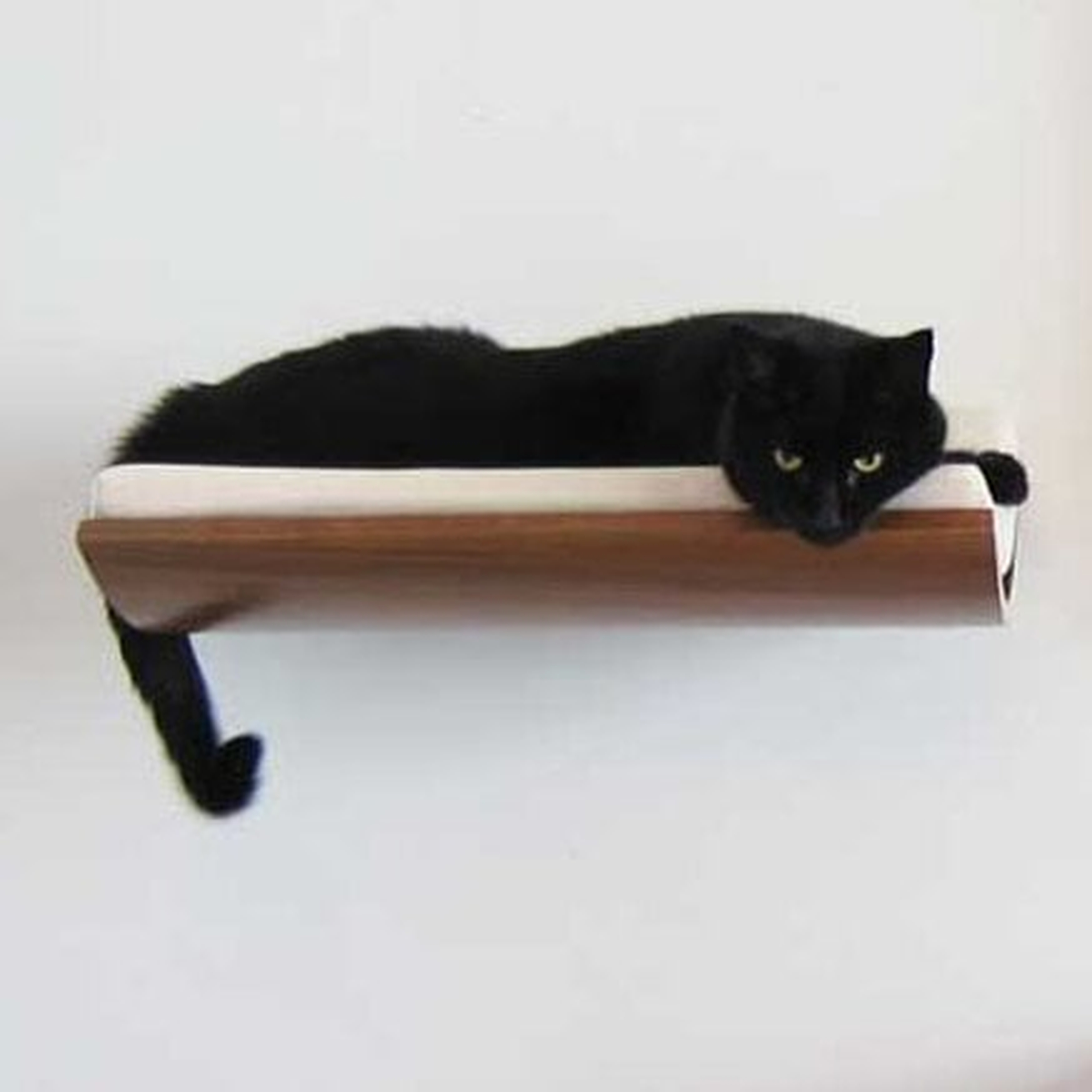 5" Musson Curve Wall Mounted Cat Perch - Wayfair