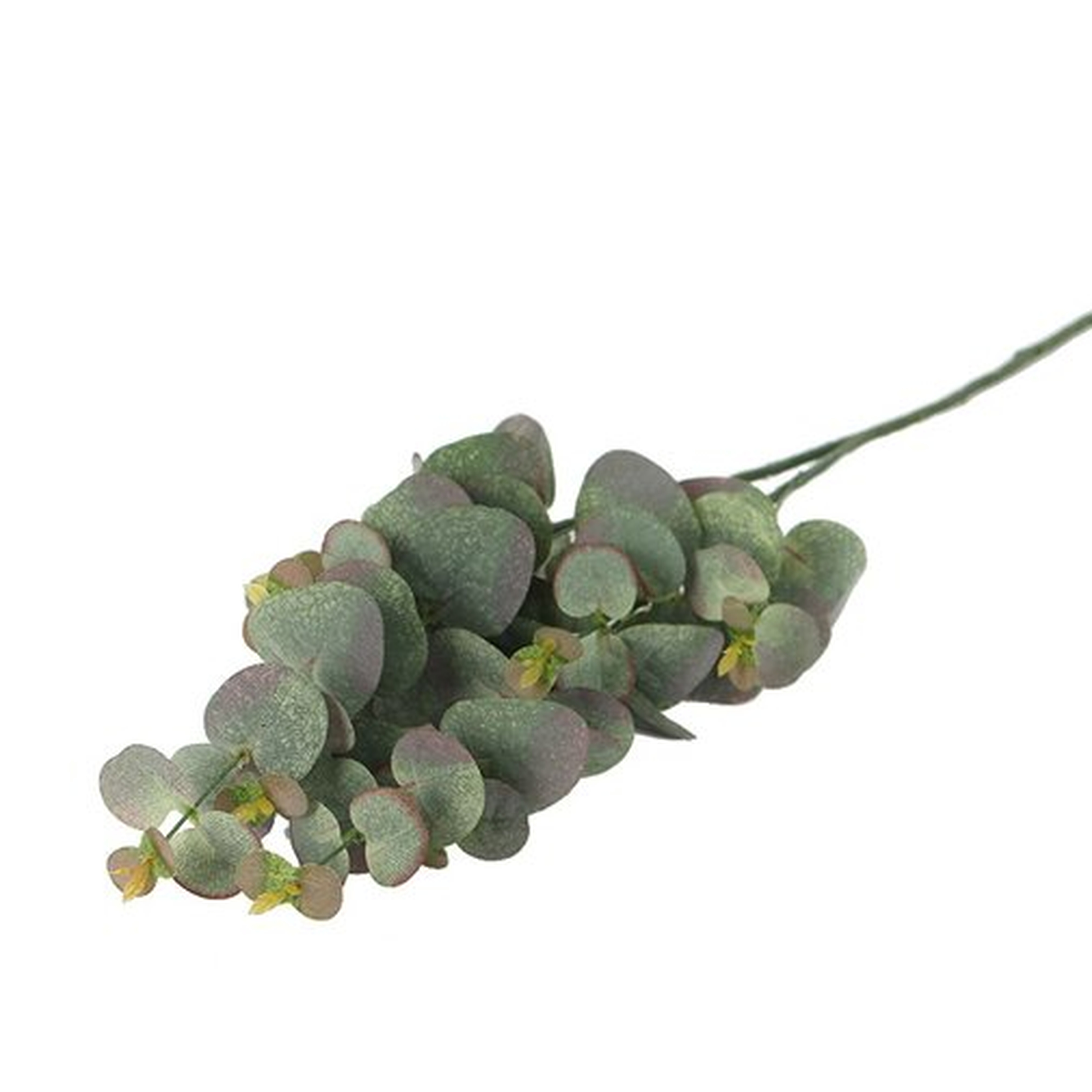 Artificial Leaf Eucalyptus Stem - Wayfair
