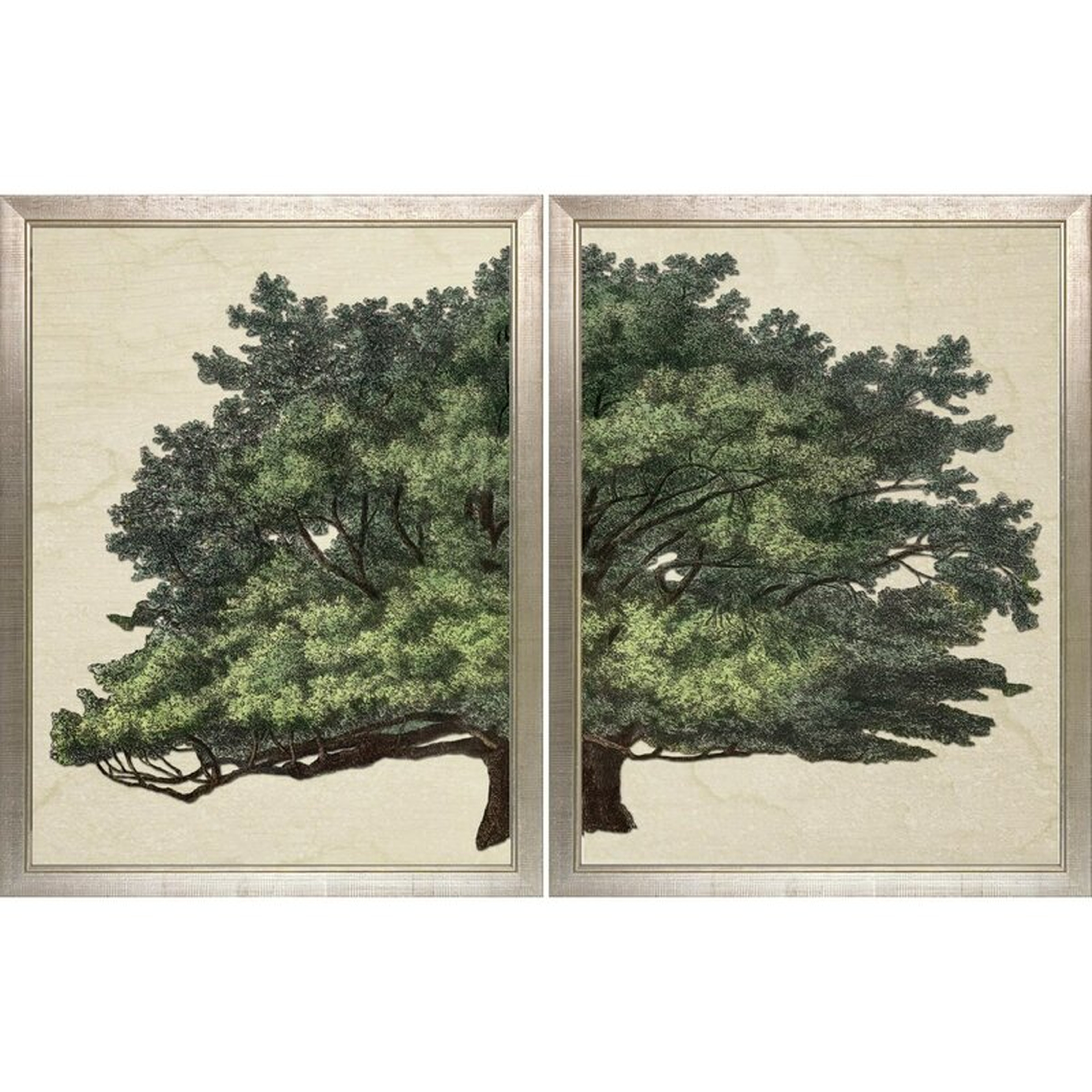 'Strutt Tree' by Jacob George Strutt - 2 Piece Picture Frame Graphic Art Print on Paper - Perigold