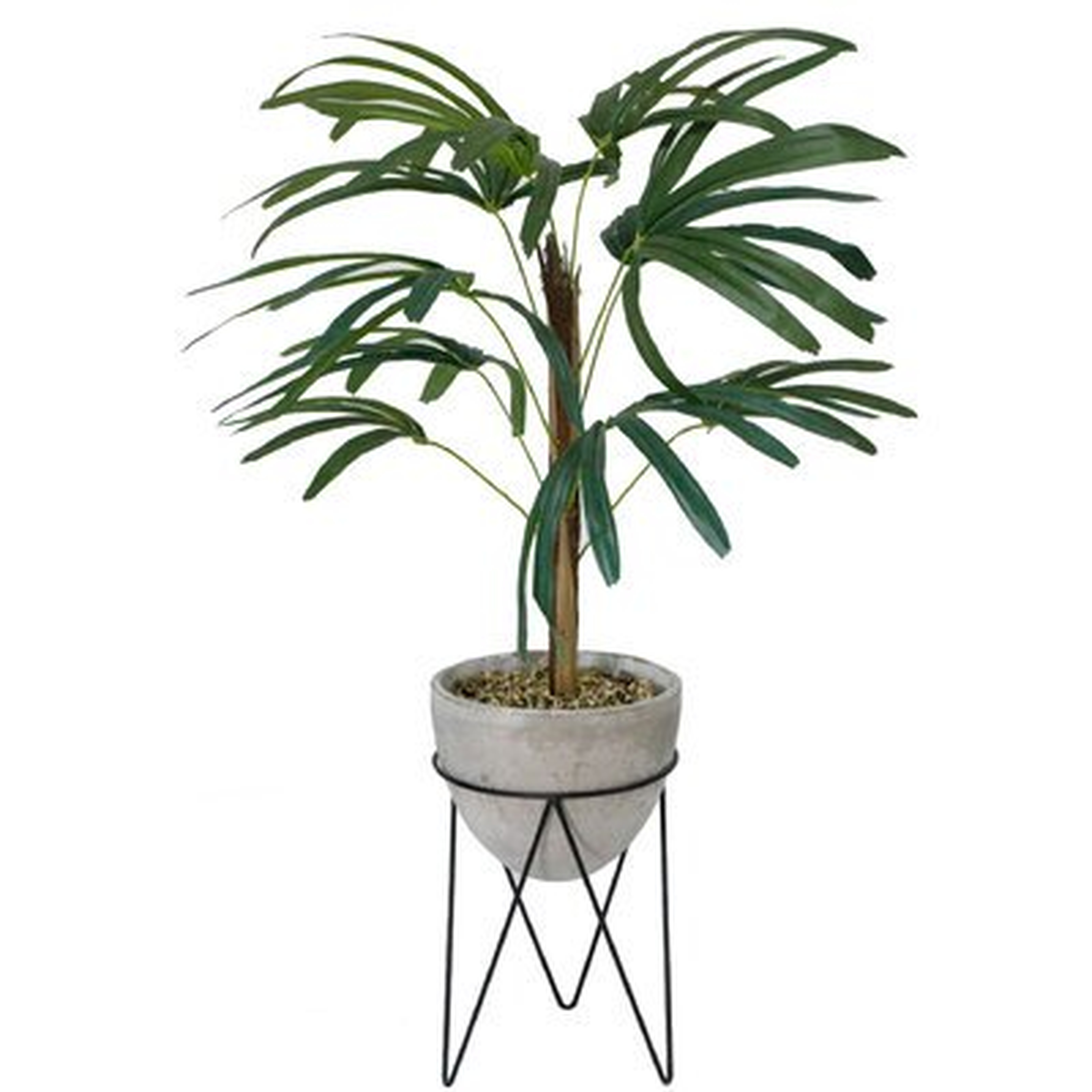 Palm Tree in Planter - Wayfair