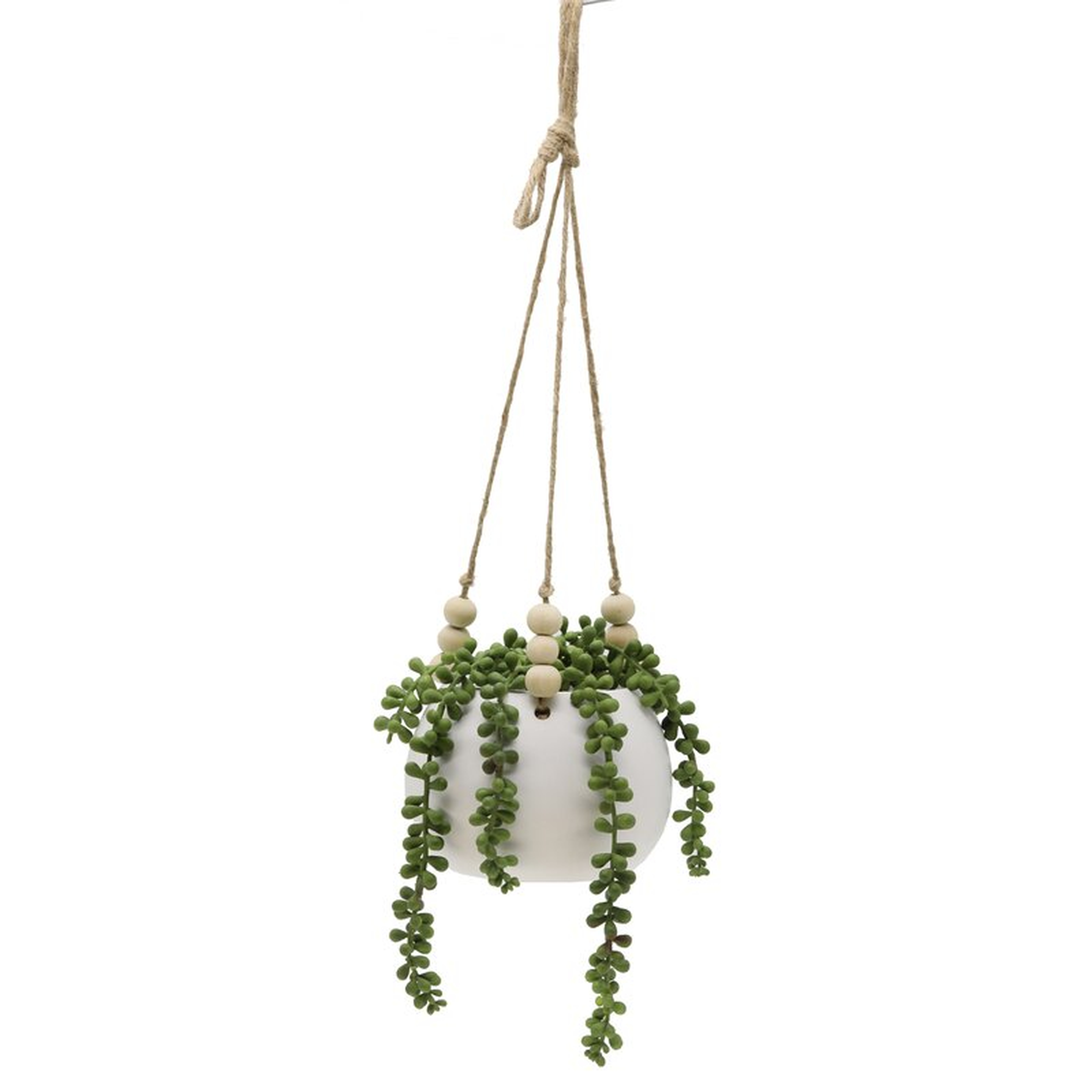String Ivy Plant in Basket - Wayfair
