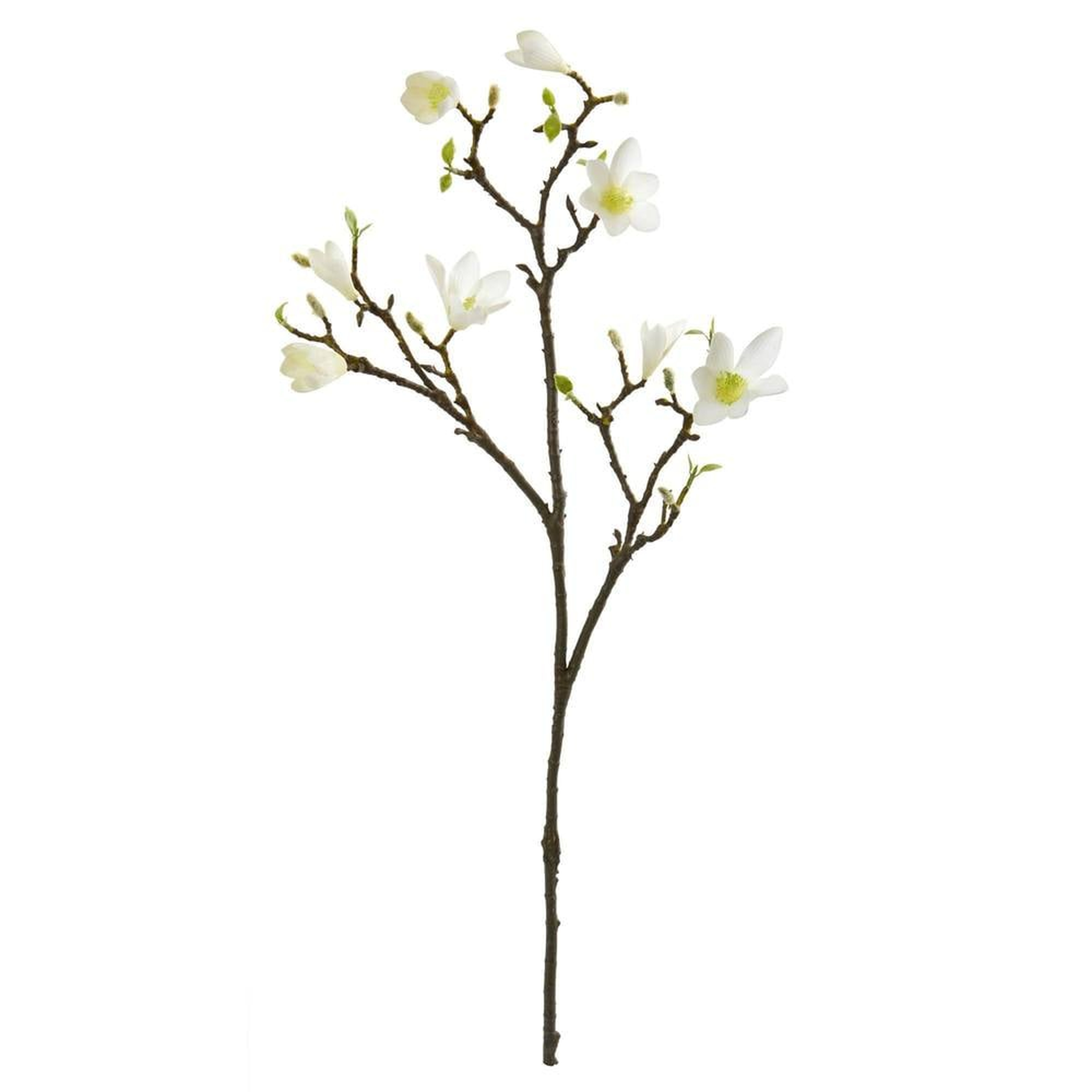 34” Magnolia Artificial Flower (Set of 6) - Fiddle + Bloom