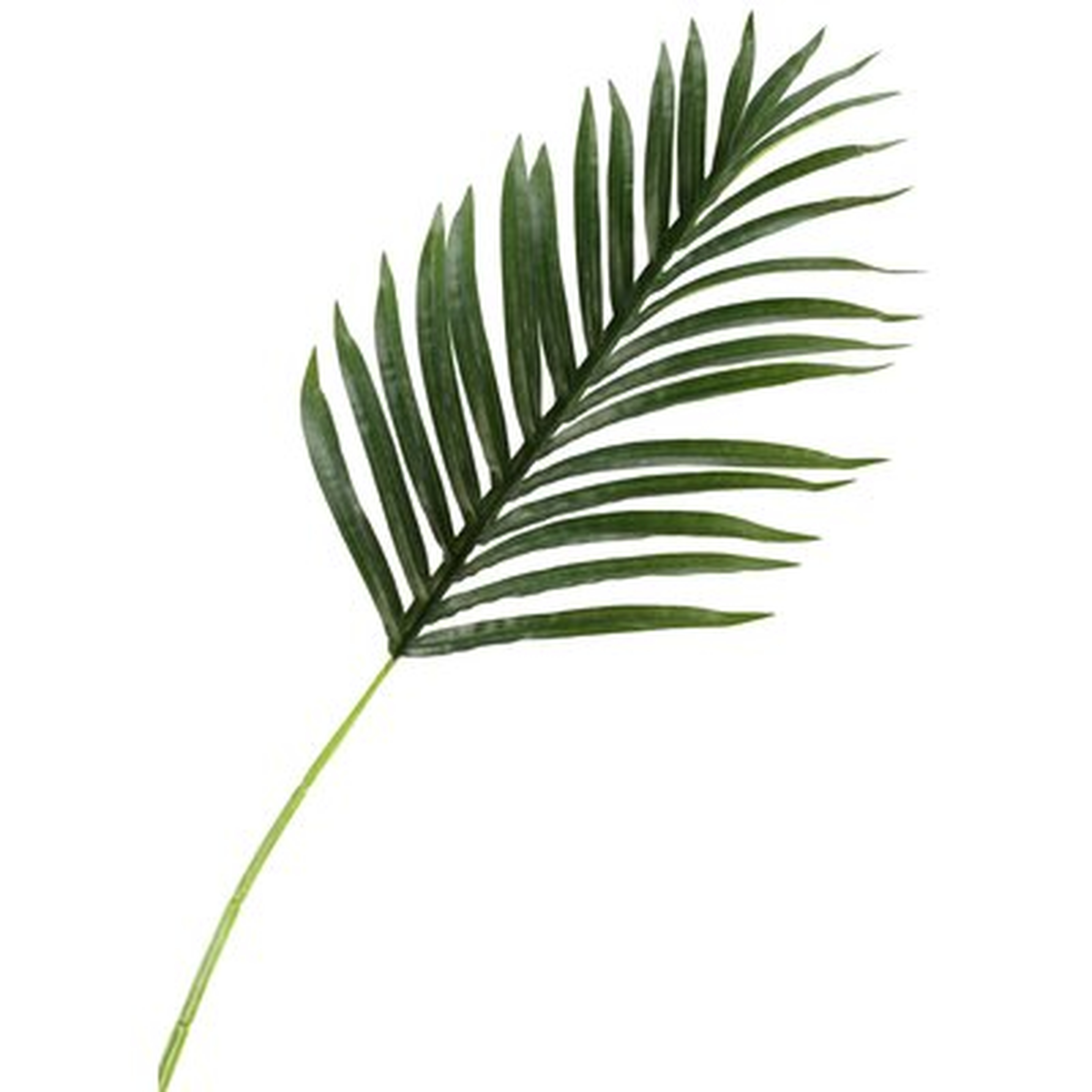 Medium Hawaiian Palm Leaf Stem - Wayfair