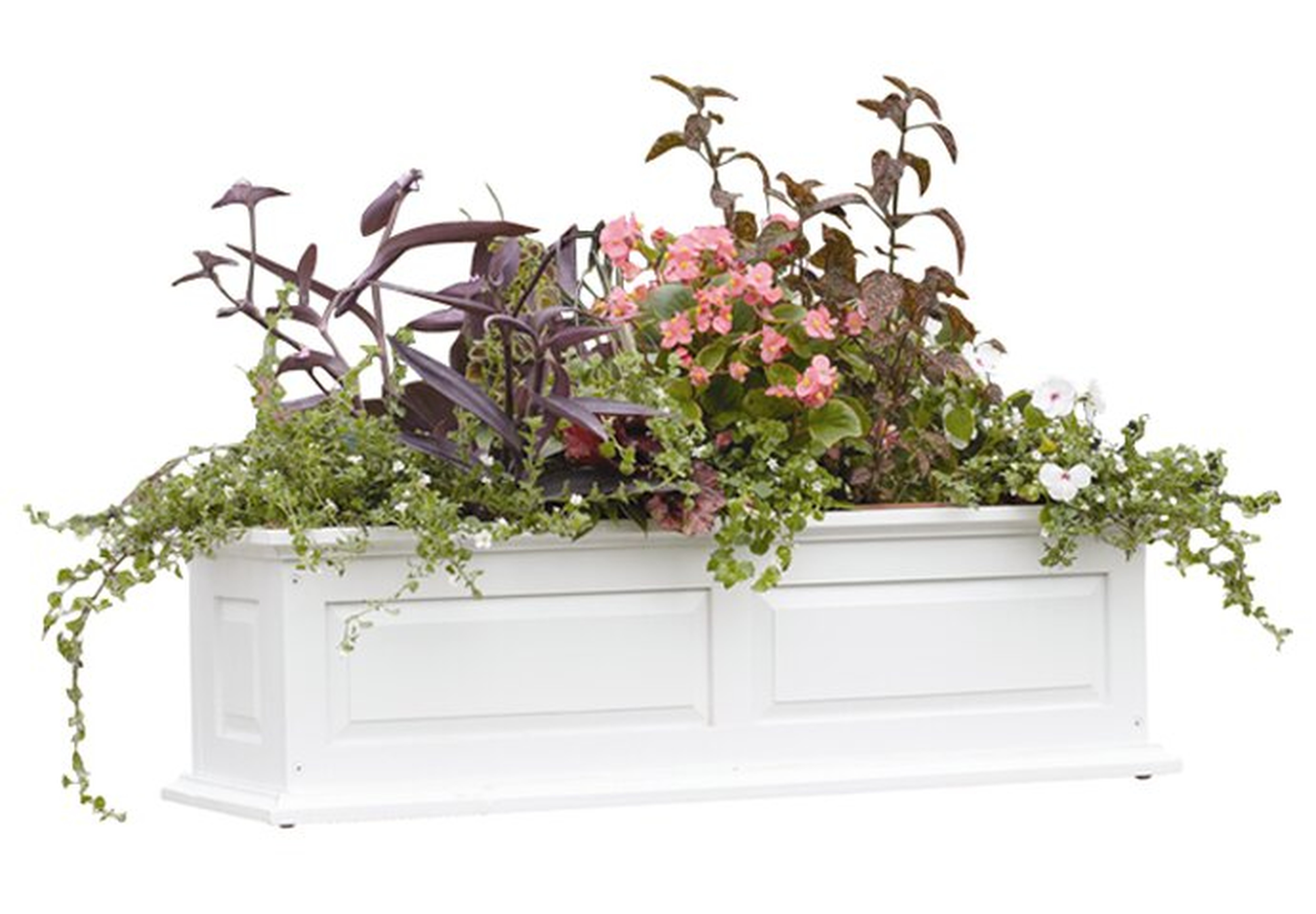 Strine Wood Planter Box - Wayfair