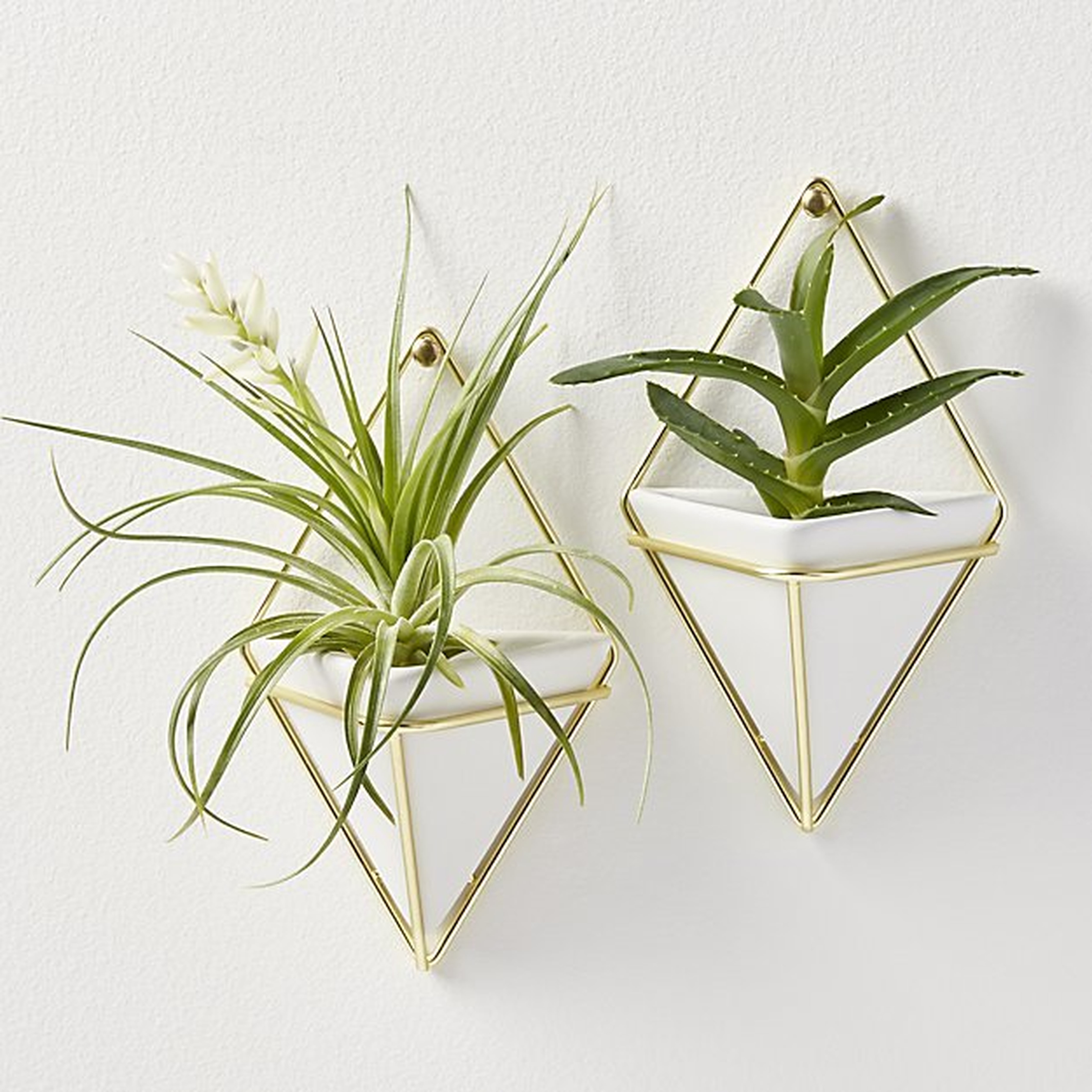set of 2 trigg small wall vases - CB2