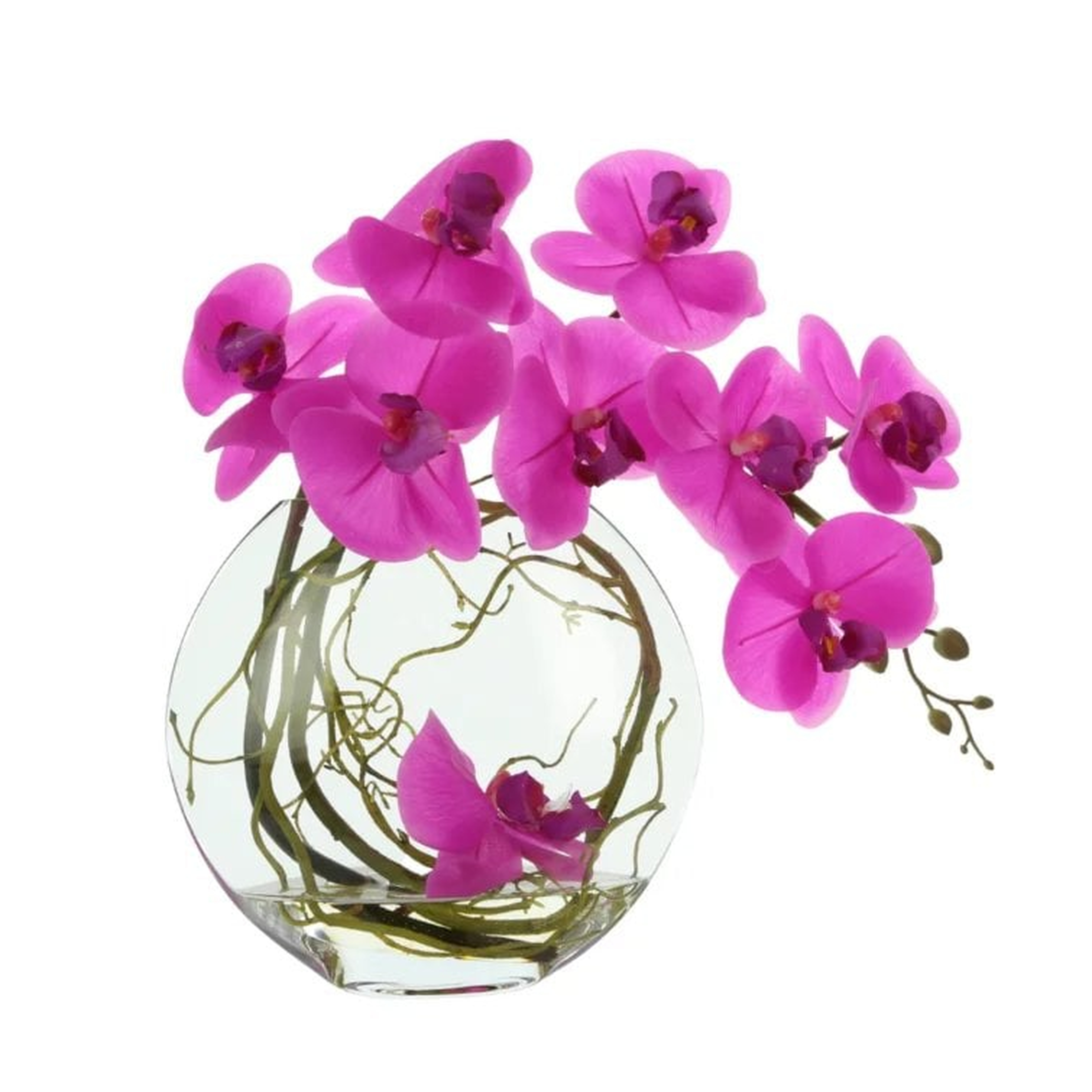Creative Displays, Inc. Orchid with Vine Centerpiece in Vase Flowers Color: Magenta - Perigold