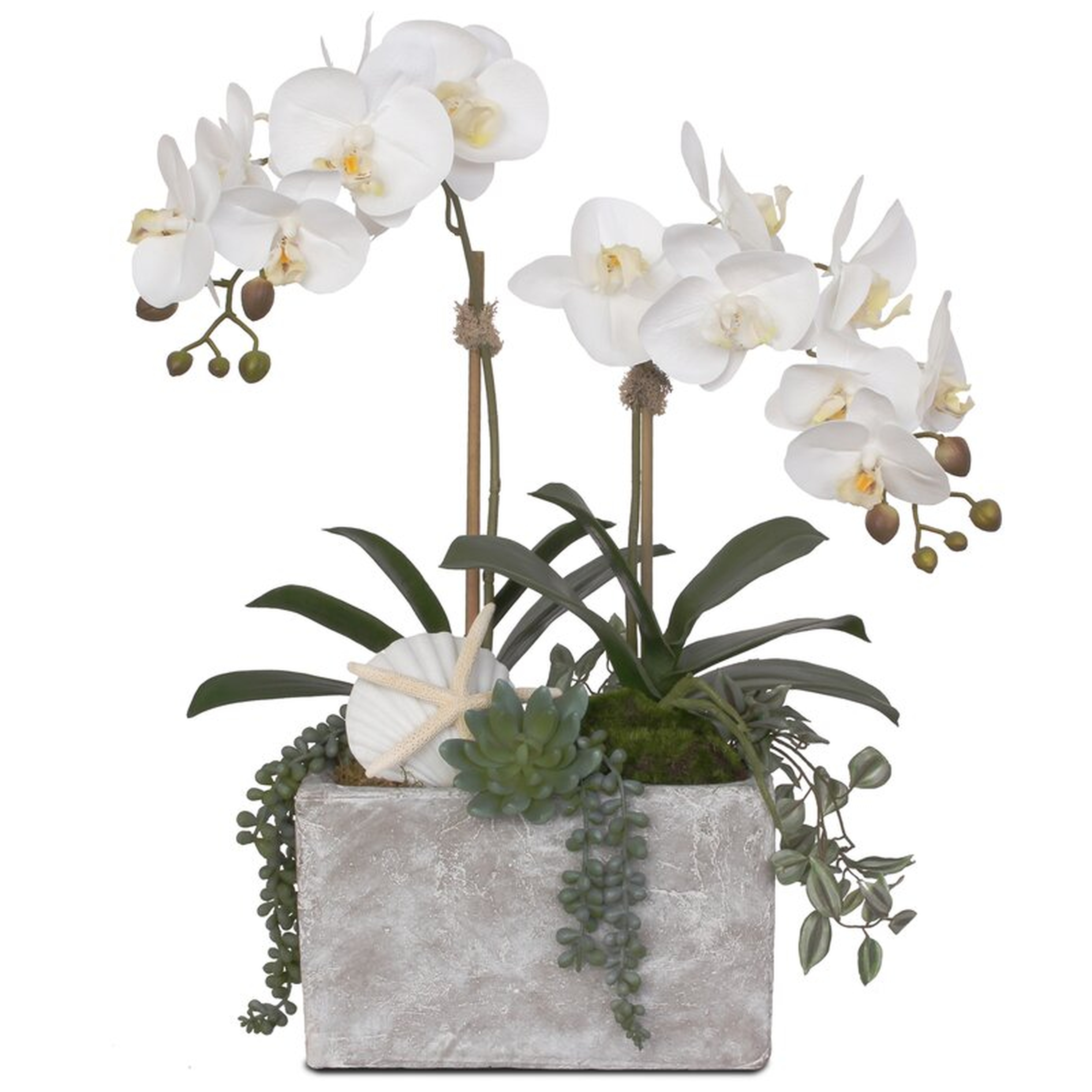 Real Touch Phalaenopsis Orchids Floral Arrangement in Pot - Wayfair