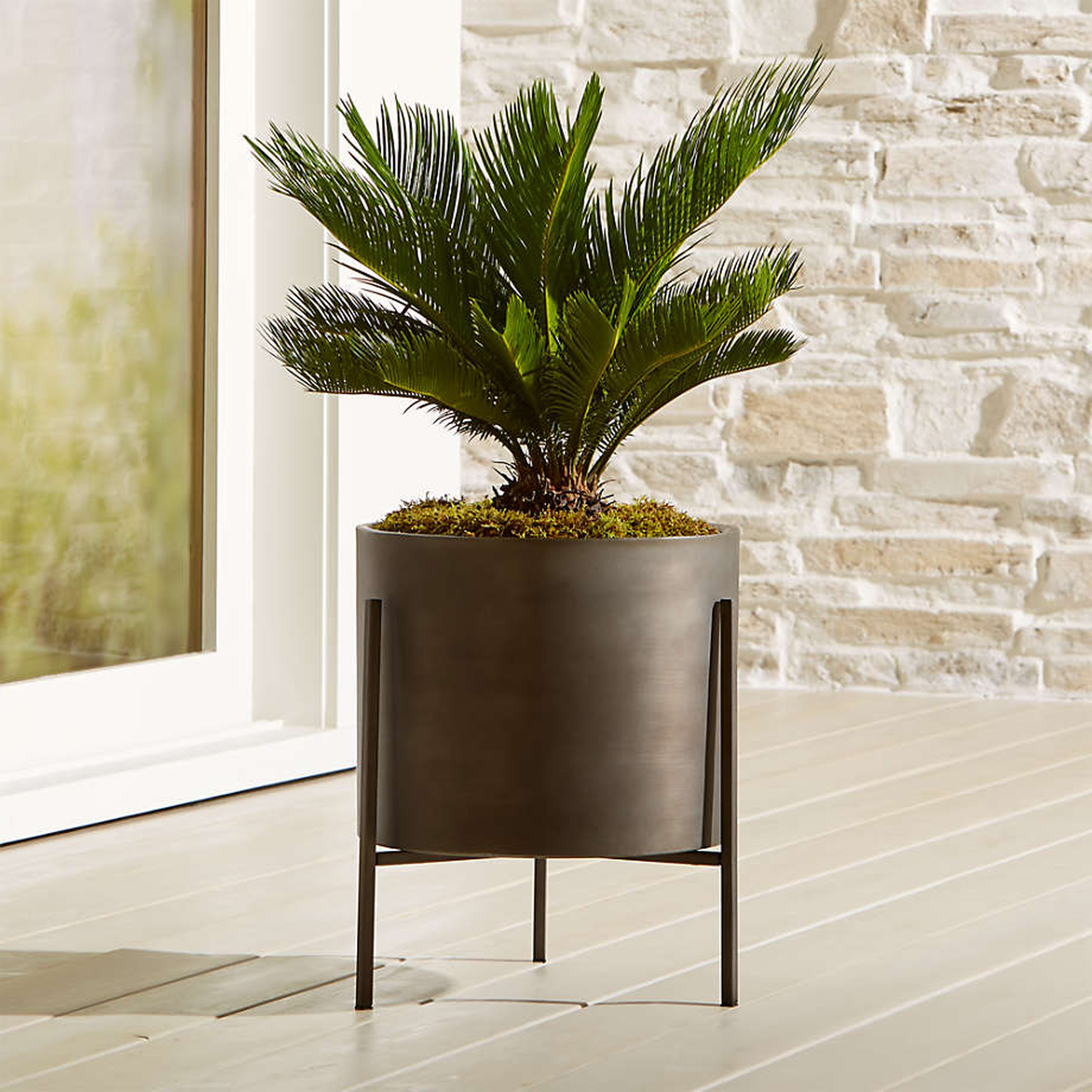 Dundee Low Planter with Stand / BRONZE - Crate and Barrel