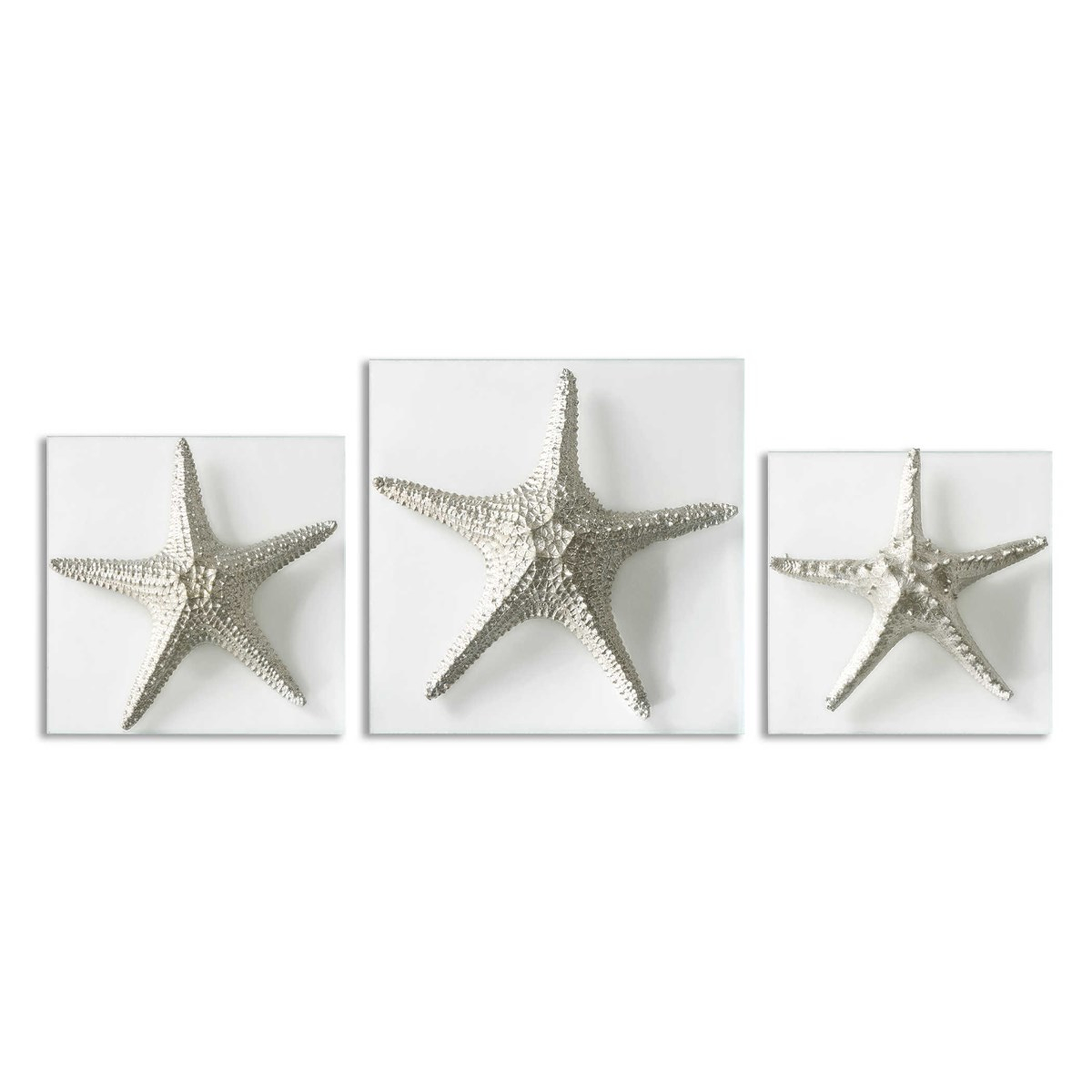 NEXT » Silver Starfish, S/3 - Hudsonhill Foundry
