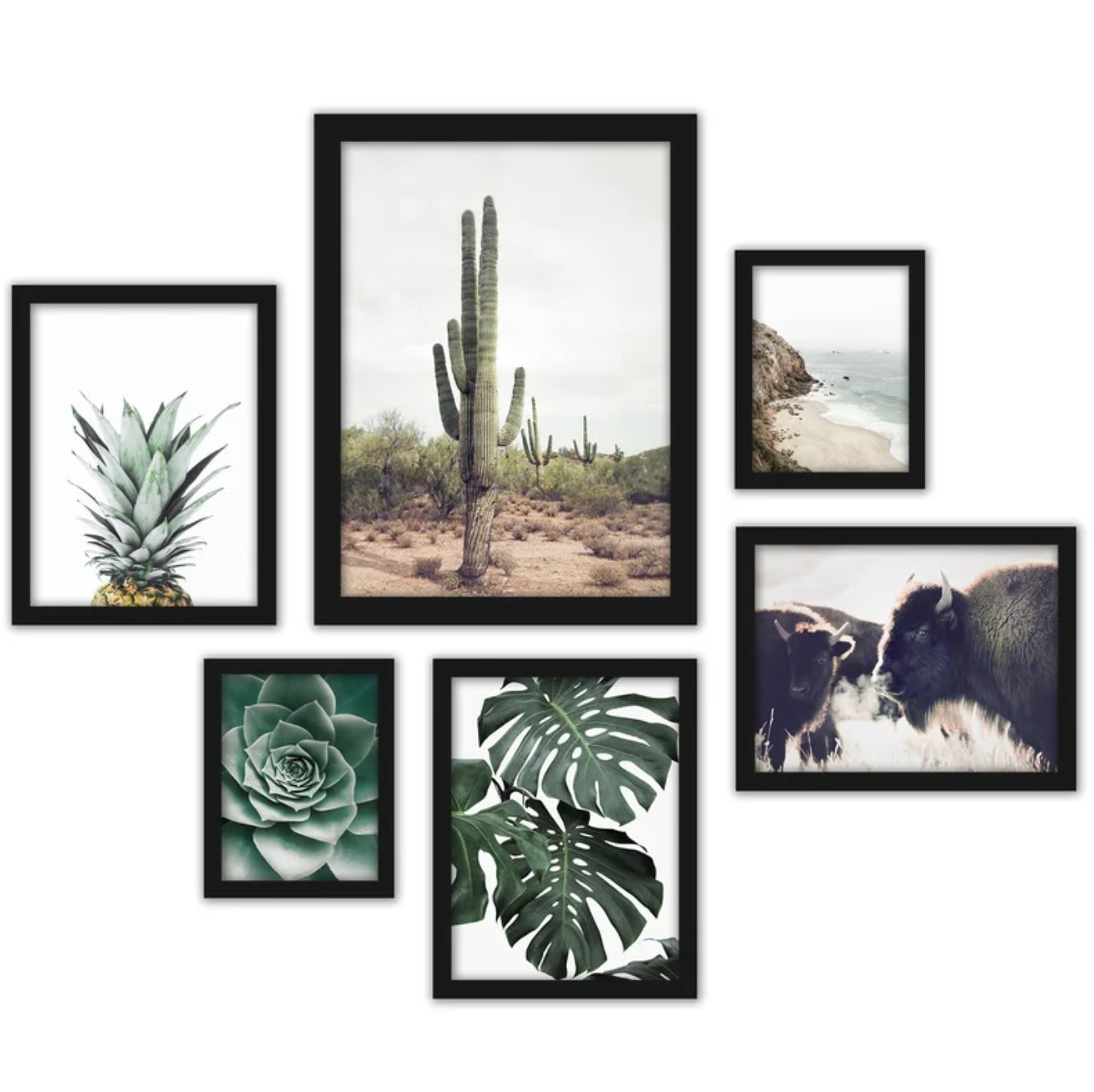 Southwest by Sisi and Seb - 6 Piece Picture Frame Photograph Print Set - Wayfair