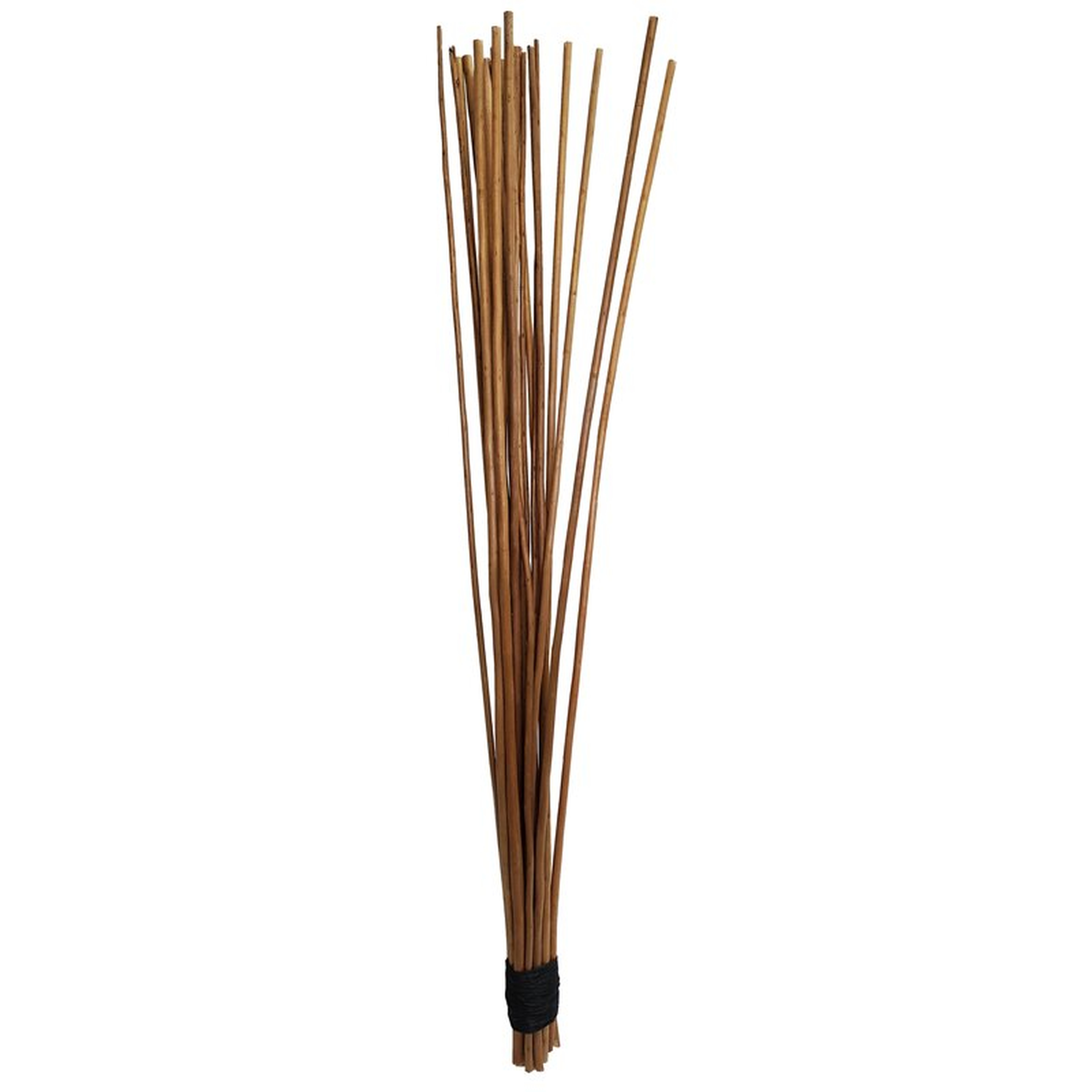 Agnon Skinless Willow Stick Bundle (Set of 20) - Wayfair