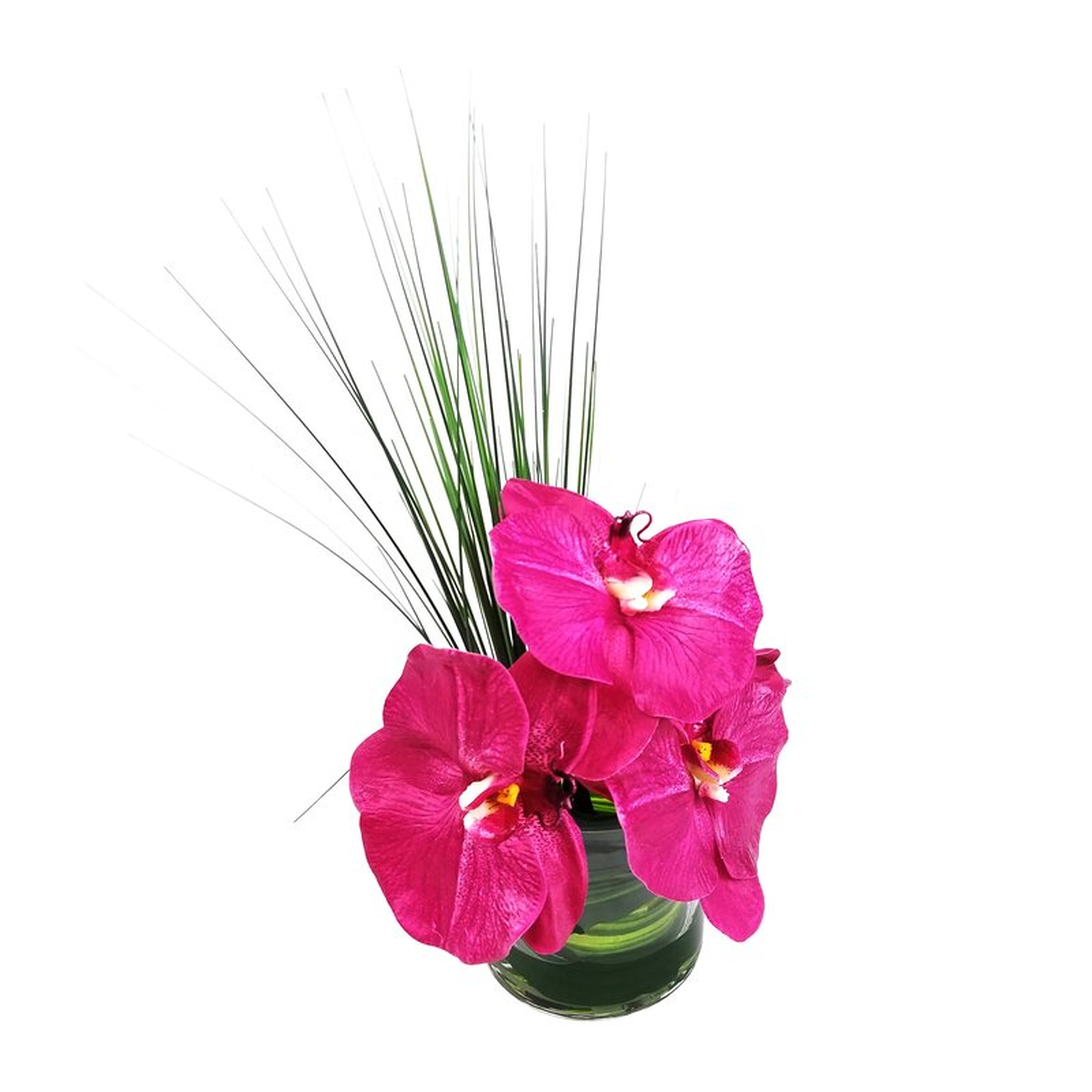 Phalaenopsis Orchid Floral Arrangement in Vase - Wayfair