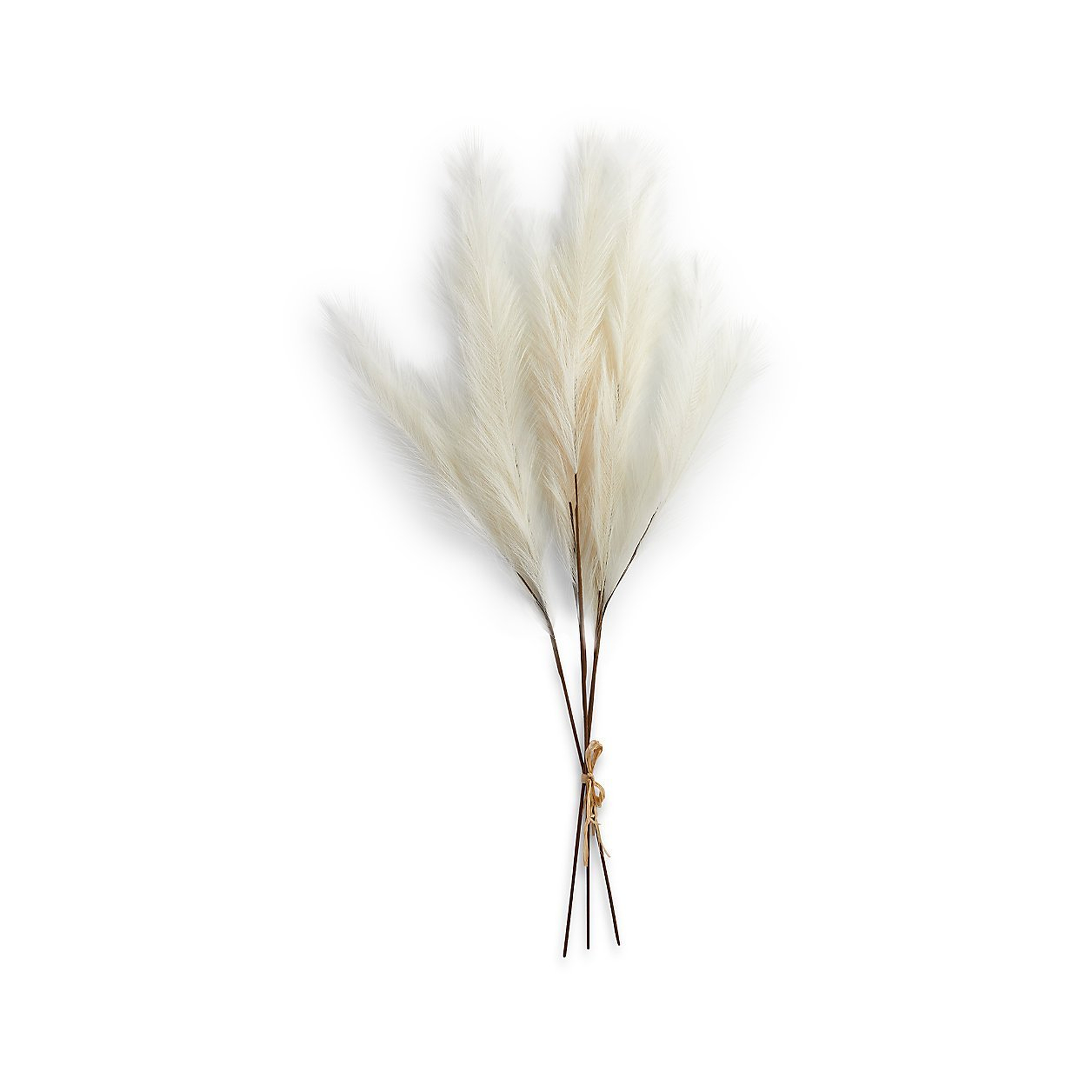 Faux Ivory Pampas Grass Bunch - Crate and Barrel