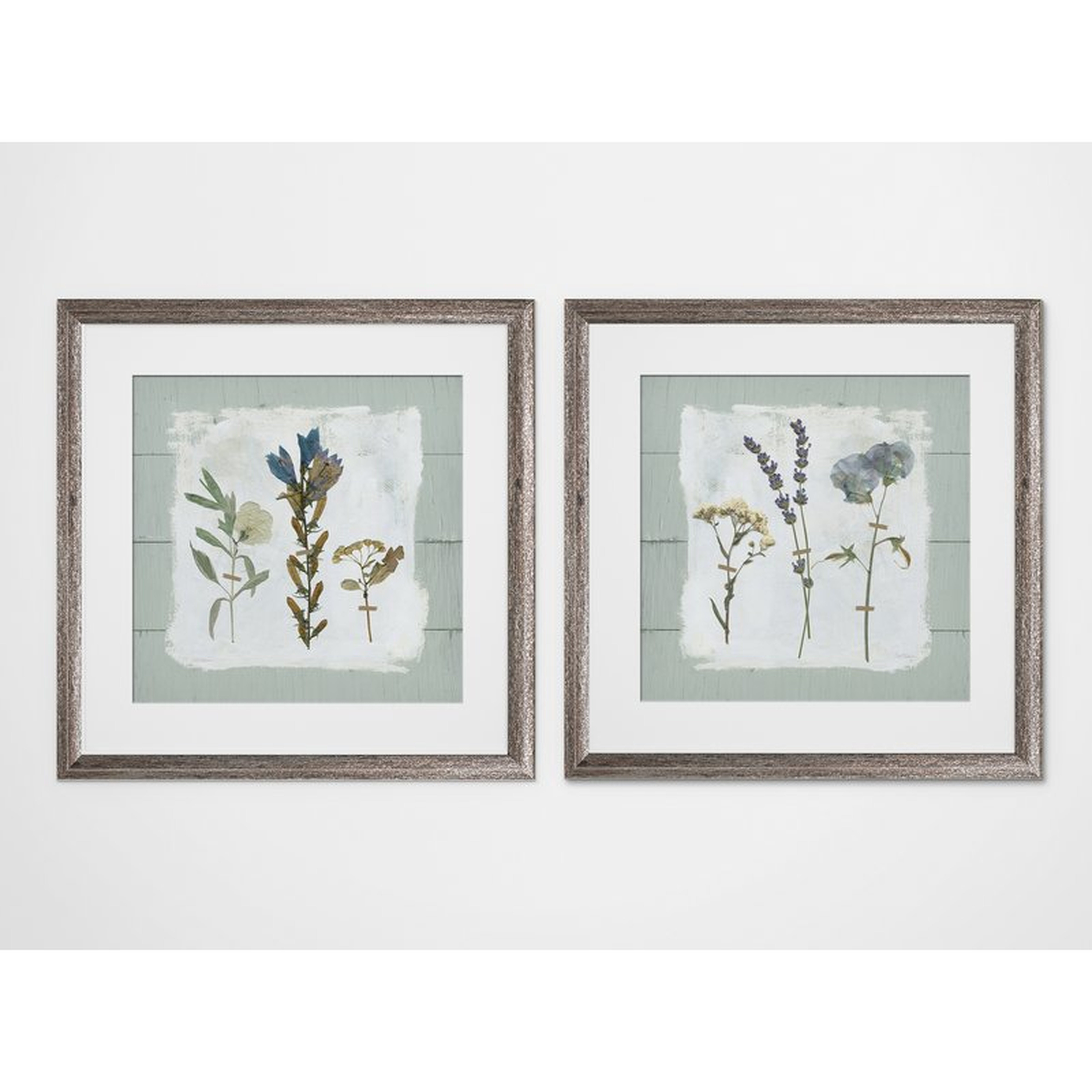 'Pressed Flowers on Shiplap' 2 Piece Framed Print Set - Birch Lane
