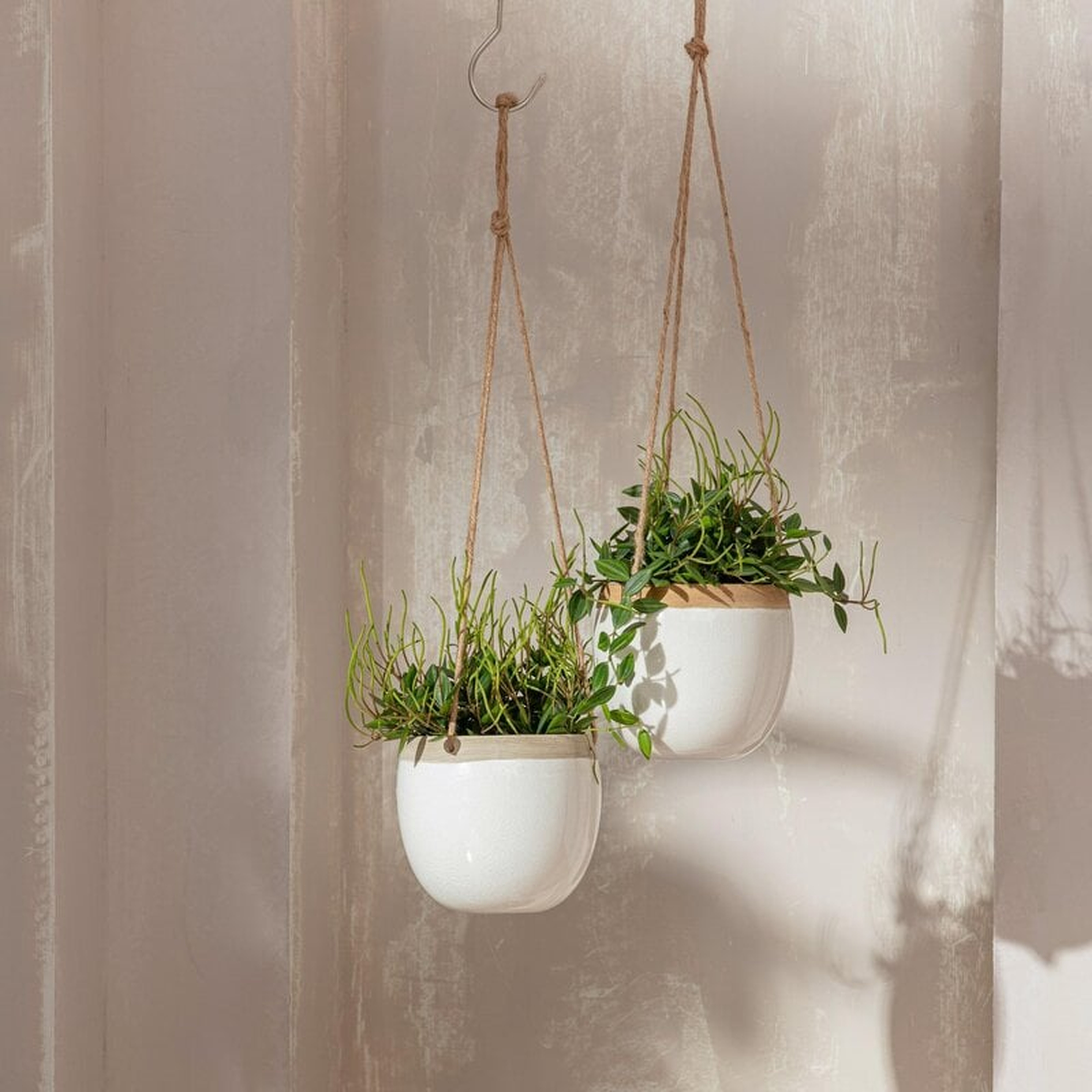 Rayshun Ceramic 2 - Piece Hanging Planter (Set of 2) - Wayfair