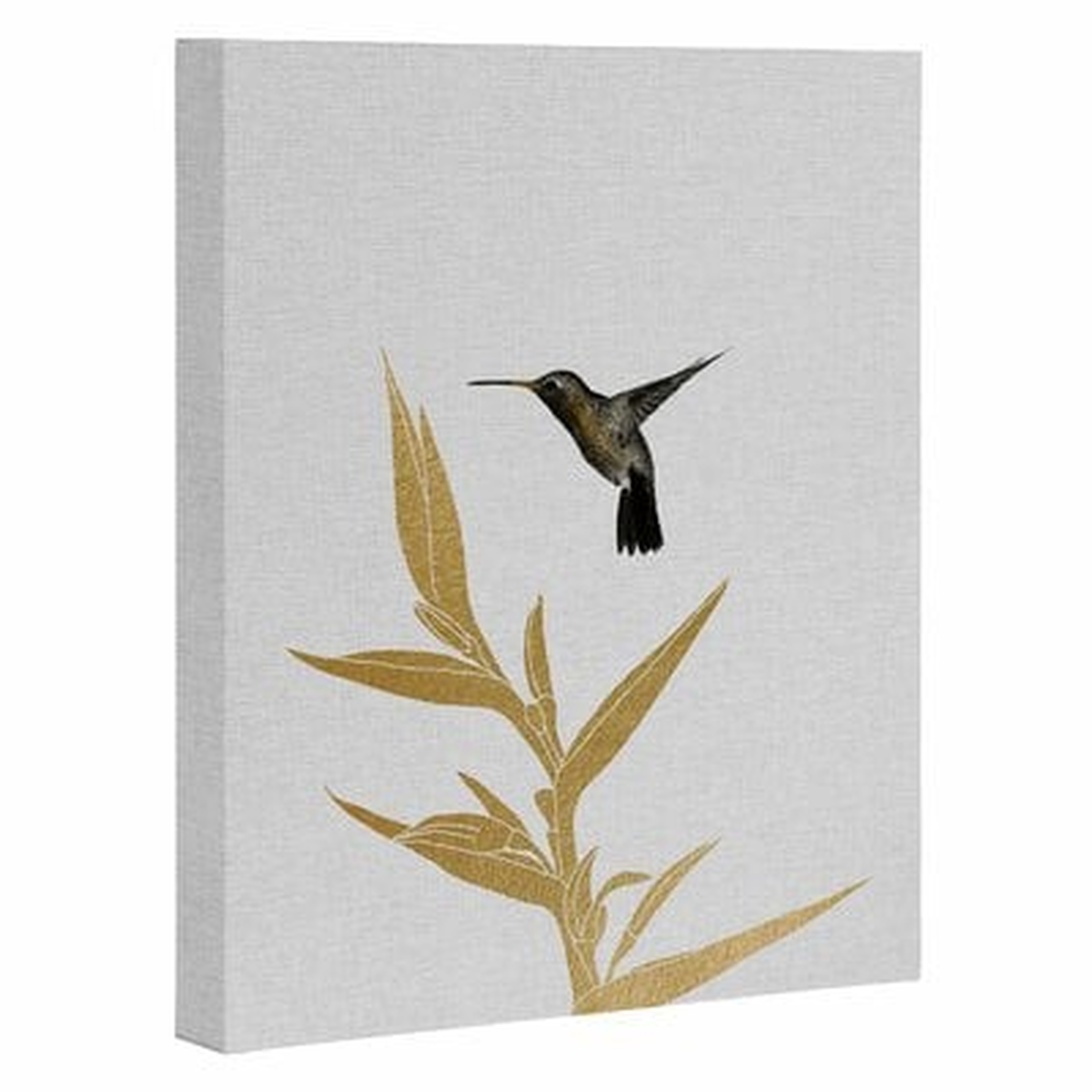 'Hummingbird and Flower II' Graphic Art Print - Wayfair