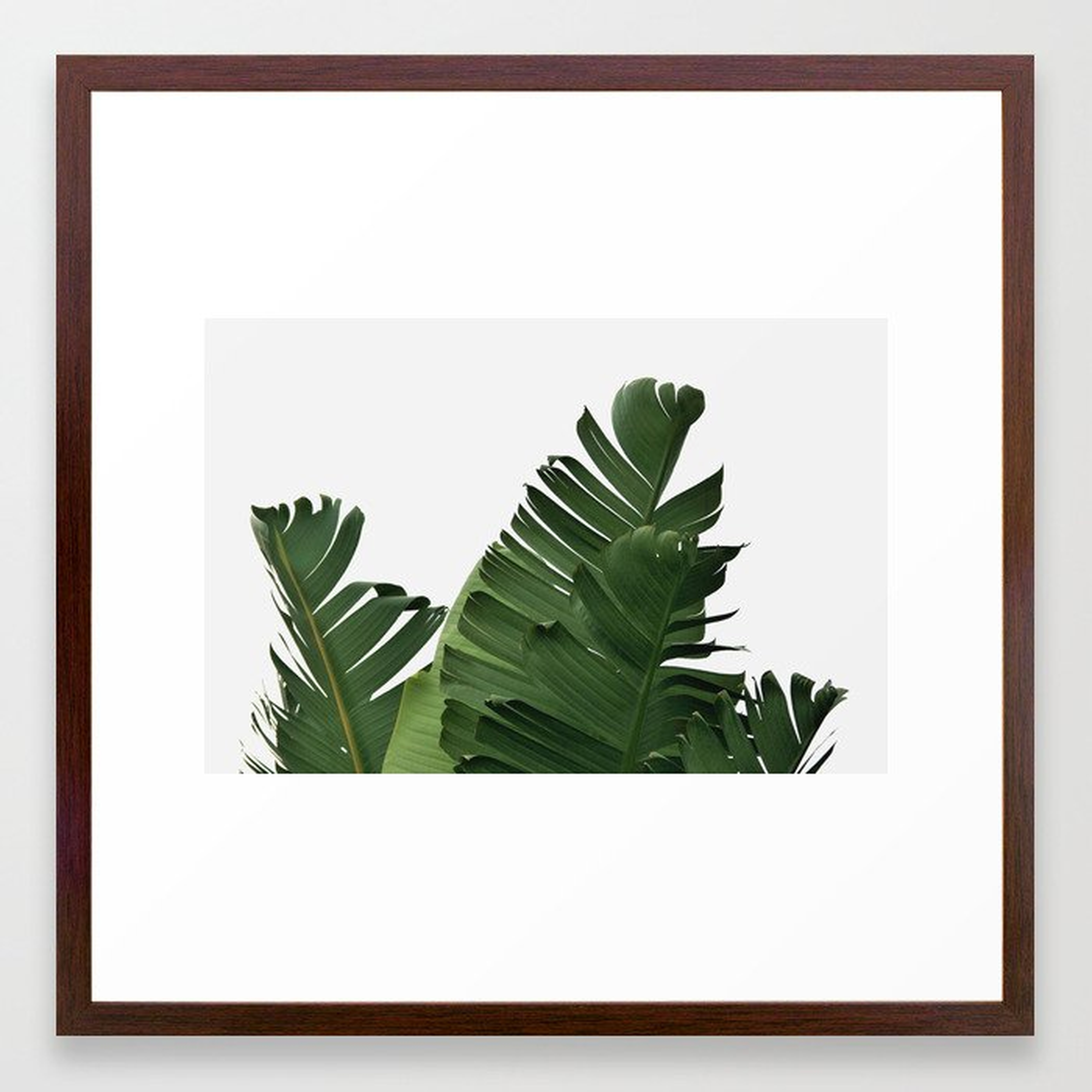 Minimal Banana Leaves Framed Art Print - 22 x 22 - Conservative Walnut Frame - Society6