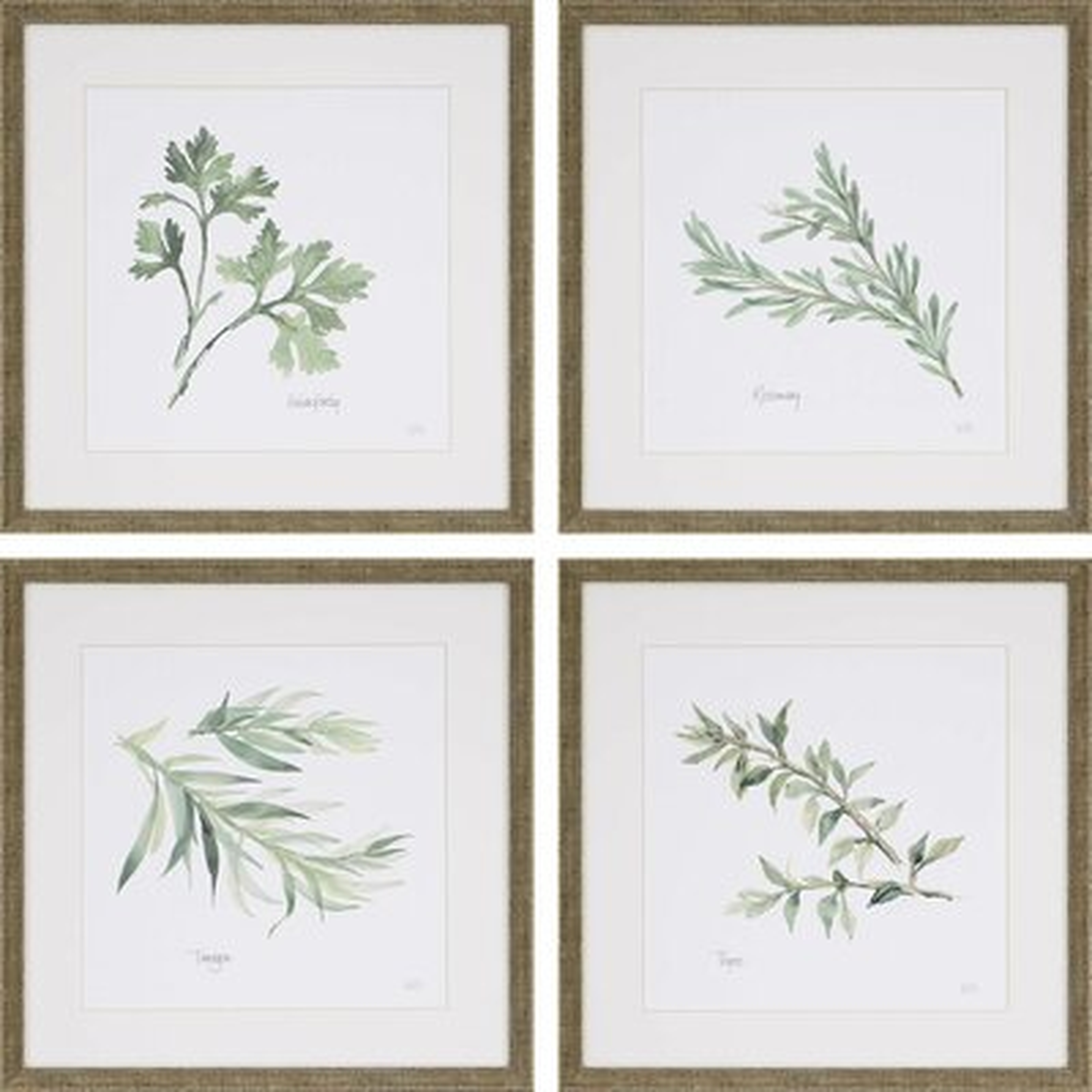 Herbs by Paschke, Picture Frame Graphic Art Prints on Paper, Set of 4 - Wayfair
