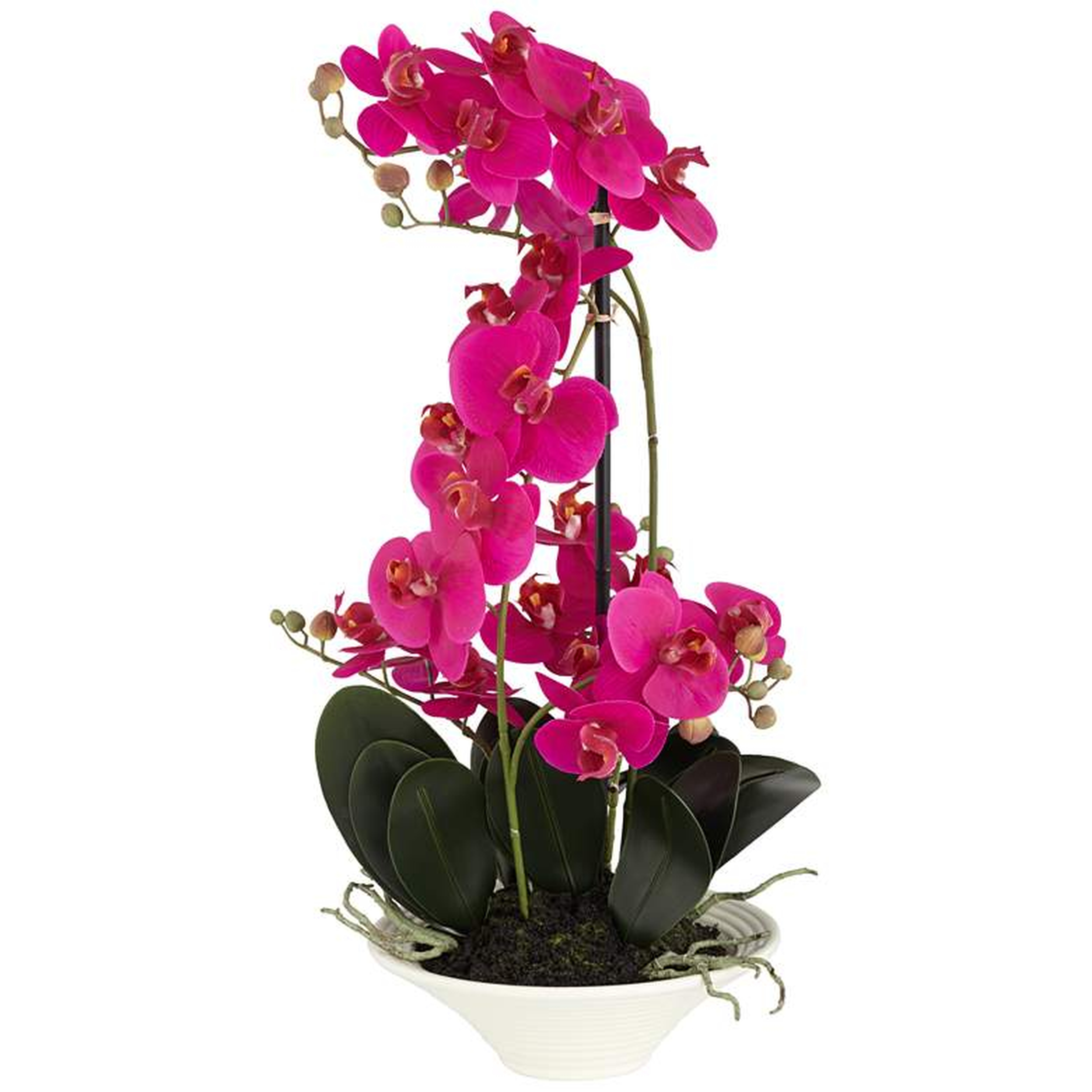 Pink Orchid 24" High Faux Flowers in White Pot - Lamps Plus