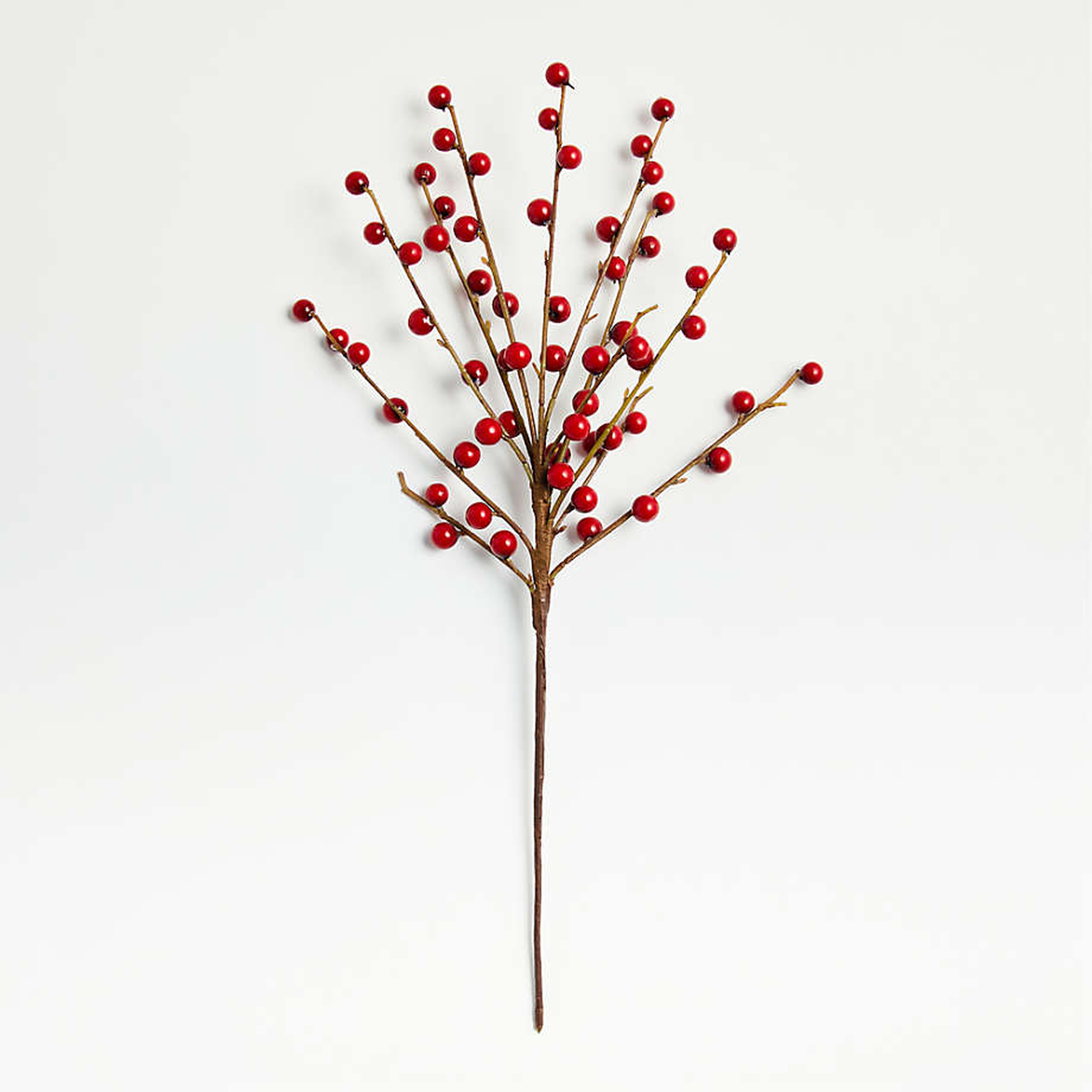 Red Berry Tree Pick - Crate and Barrel