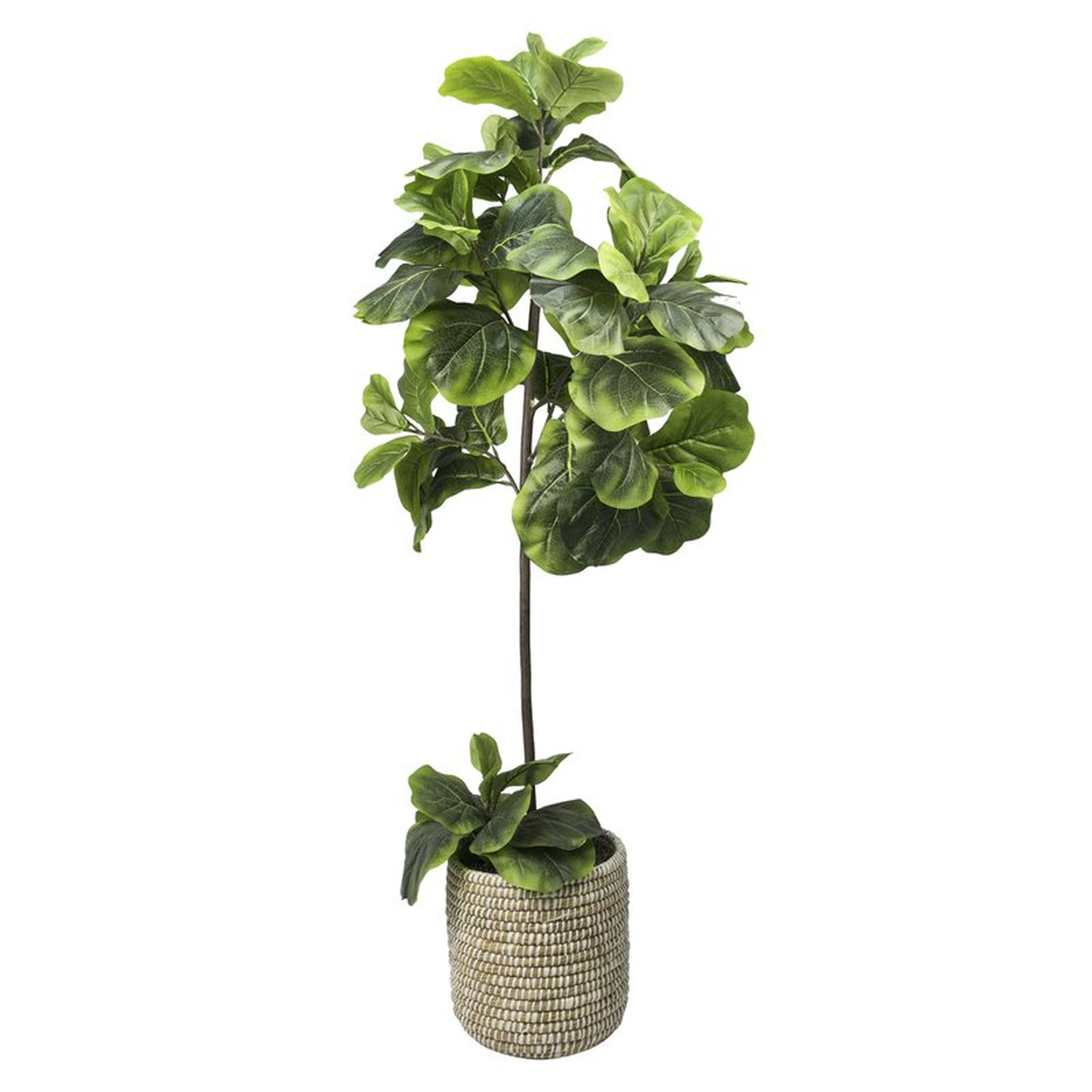 60'' Artificial Fiddle Leaf Fig Tree in Basket - Wayfair