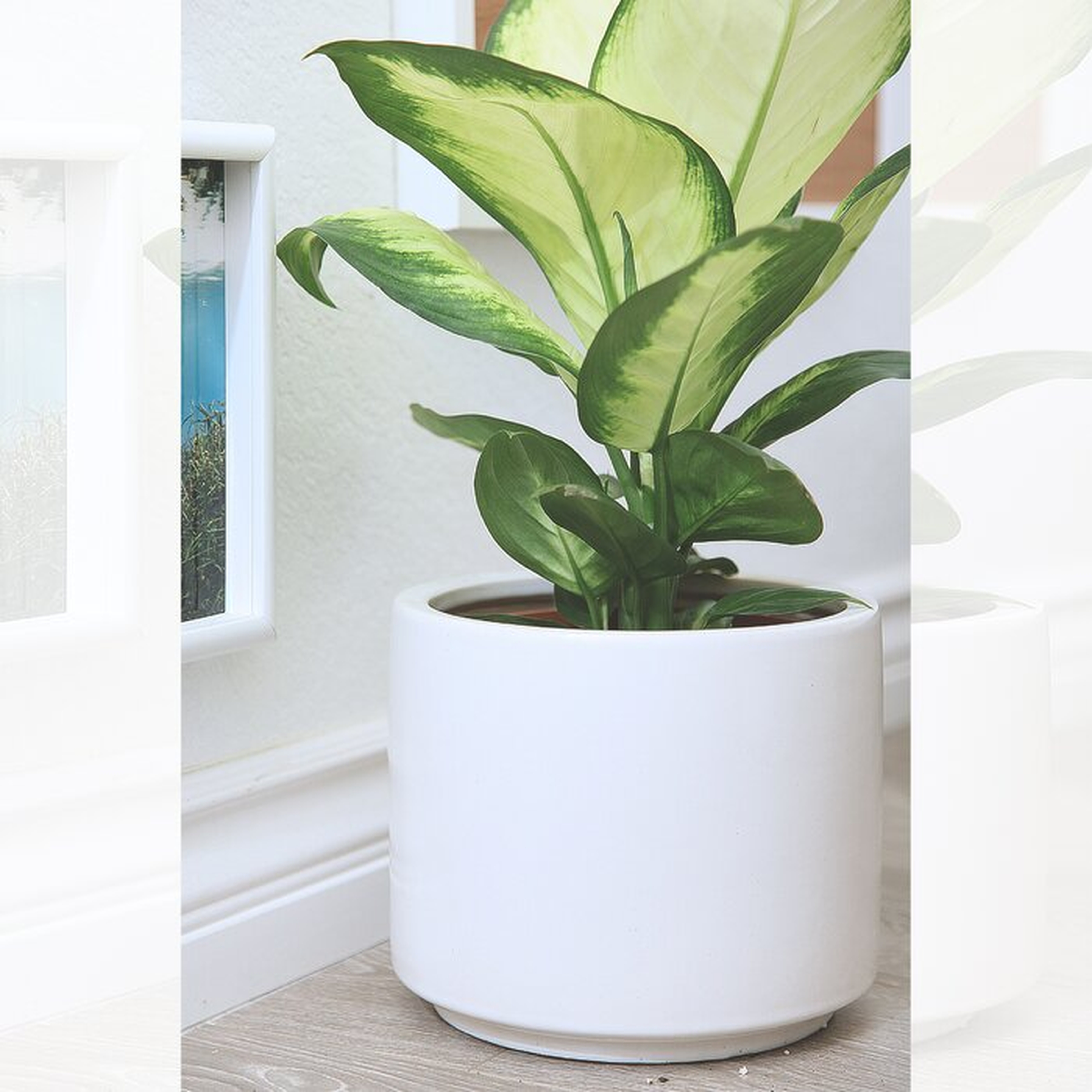 Deltoro Ceramic Pot Planter - Wayfair