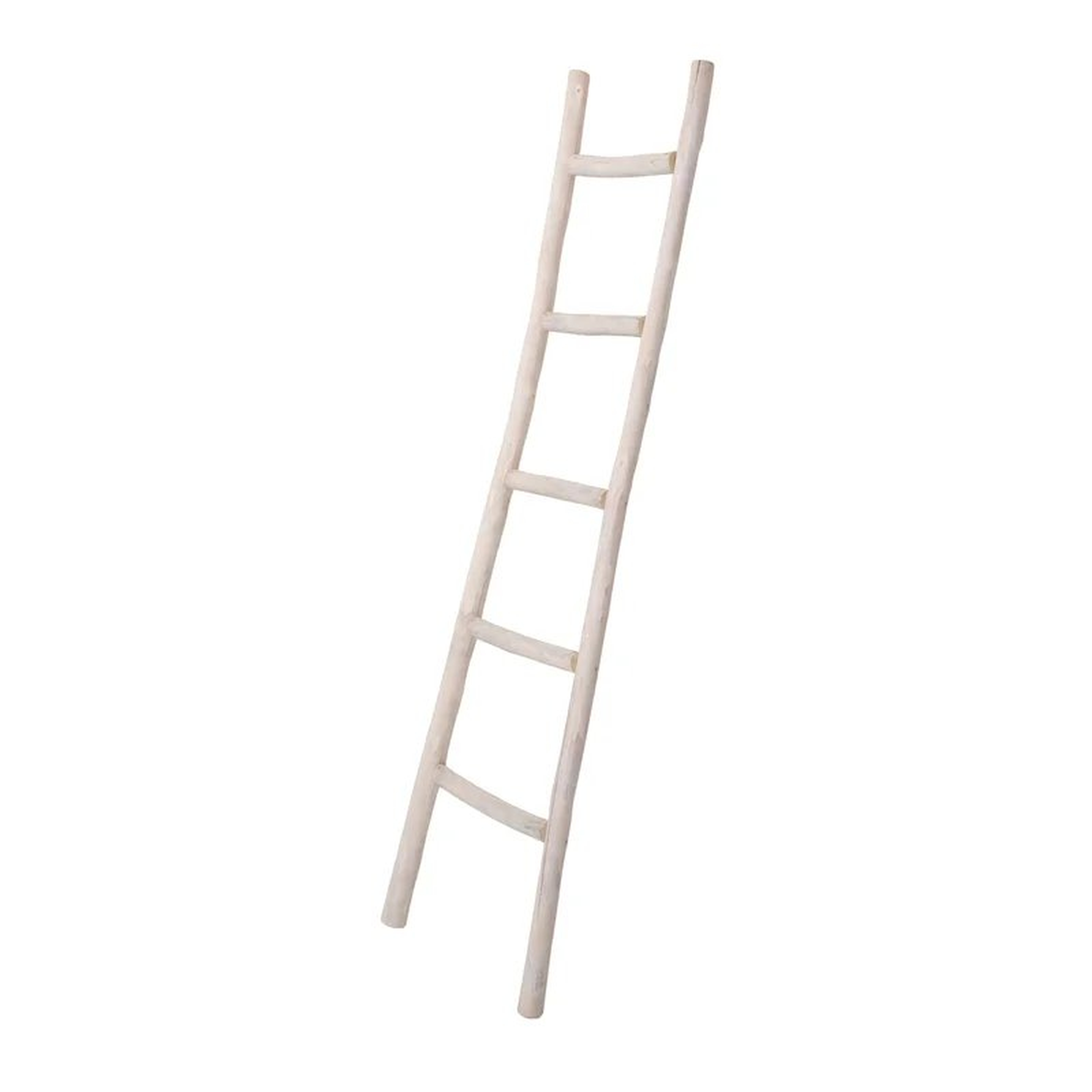 4.9' Blanket Ladder - Wayfair