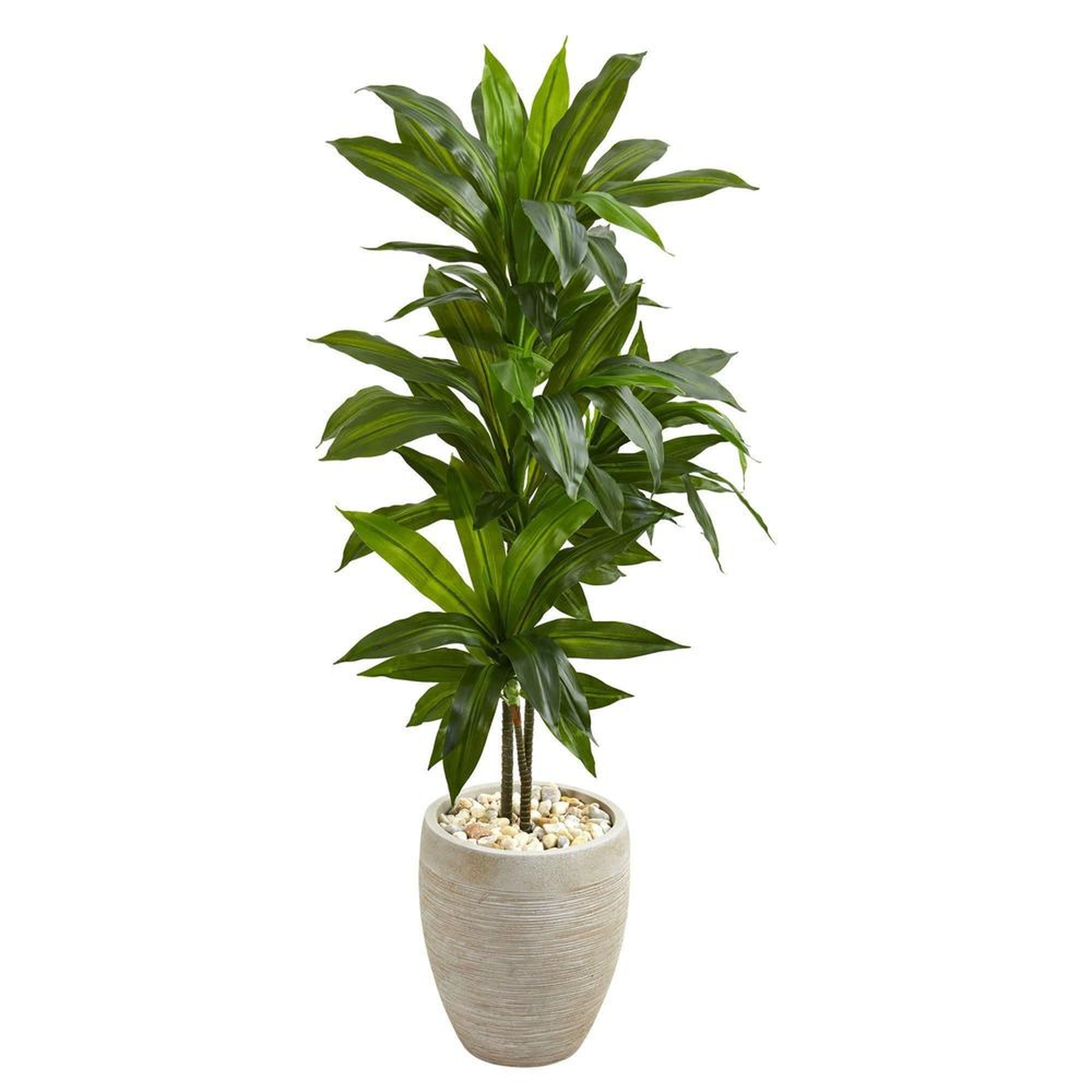 4’ Dracaena Artificial Plant in Sand Colored Planter (Real Touch) - Fiddle + Bloom