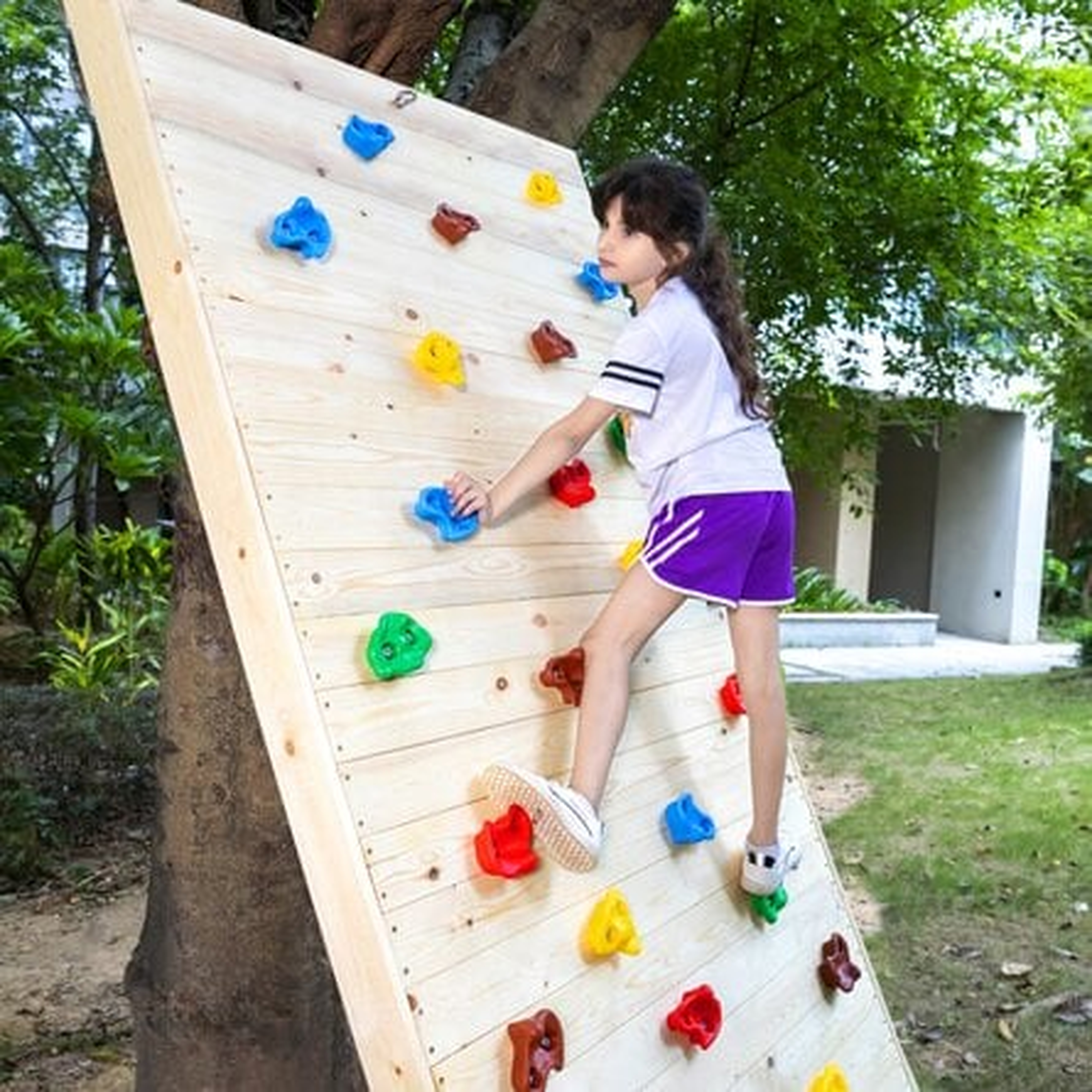 Plastic Climbing Rocks - Wayfair
