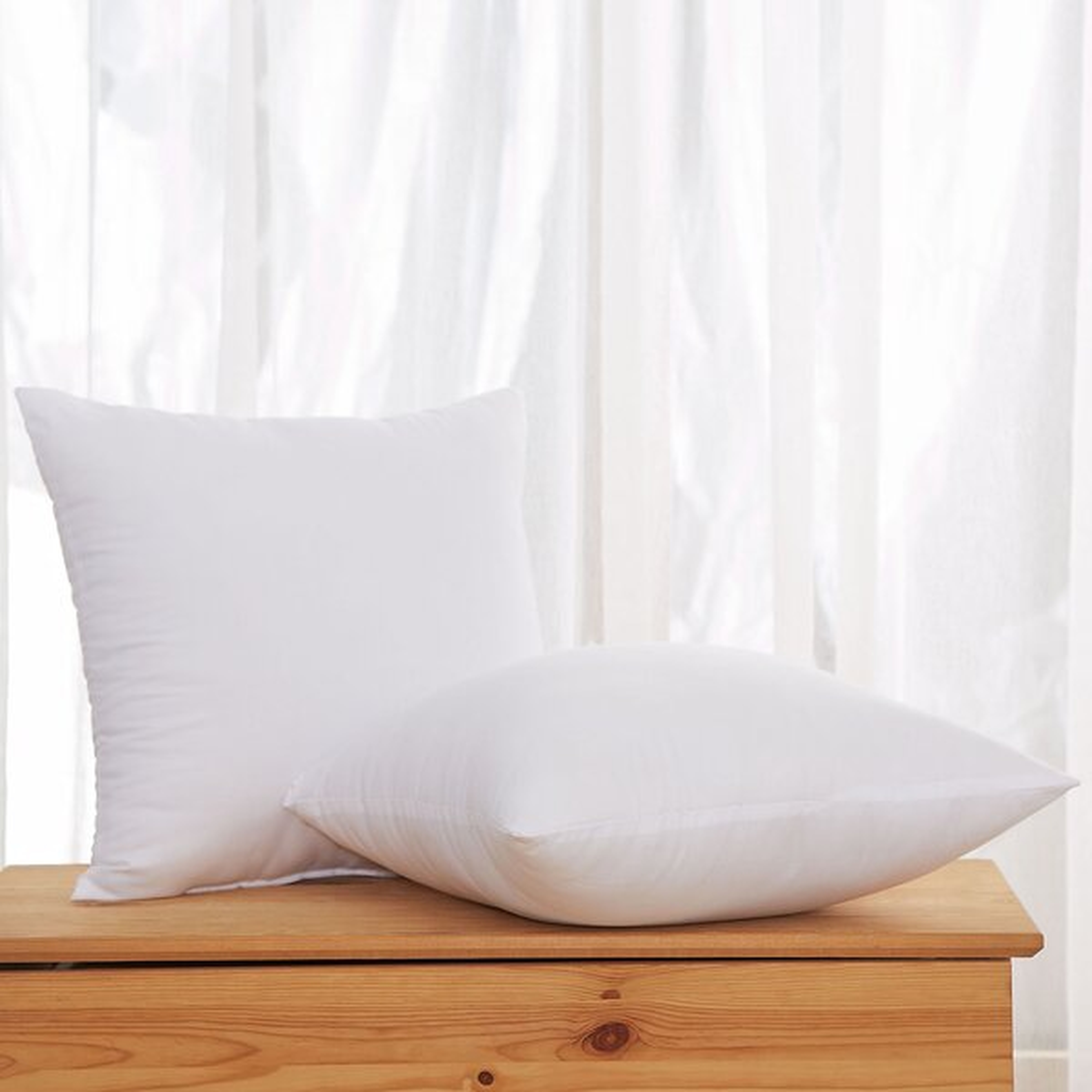 Roisin Soft Hypoallergenic Throw Pillow Insert (set of 2) - Wayfair