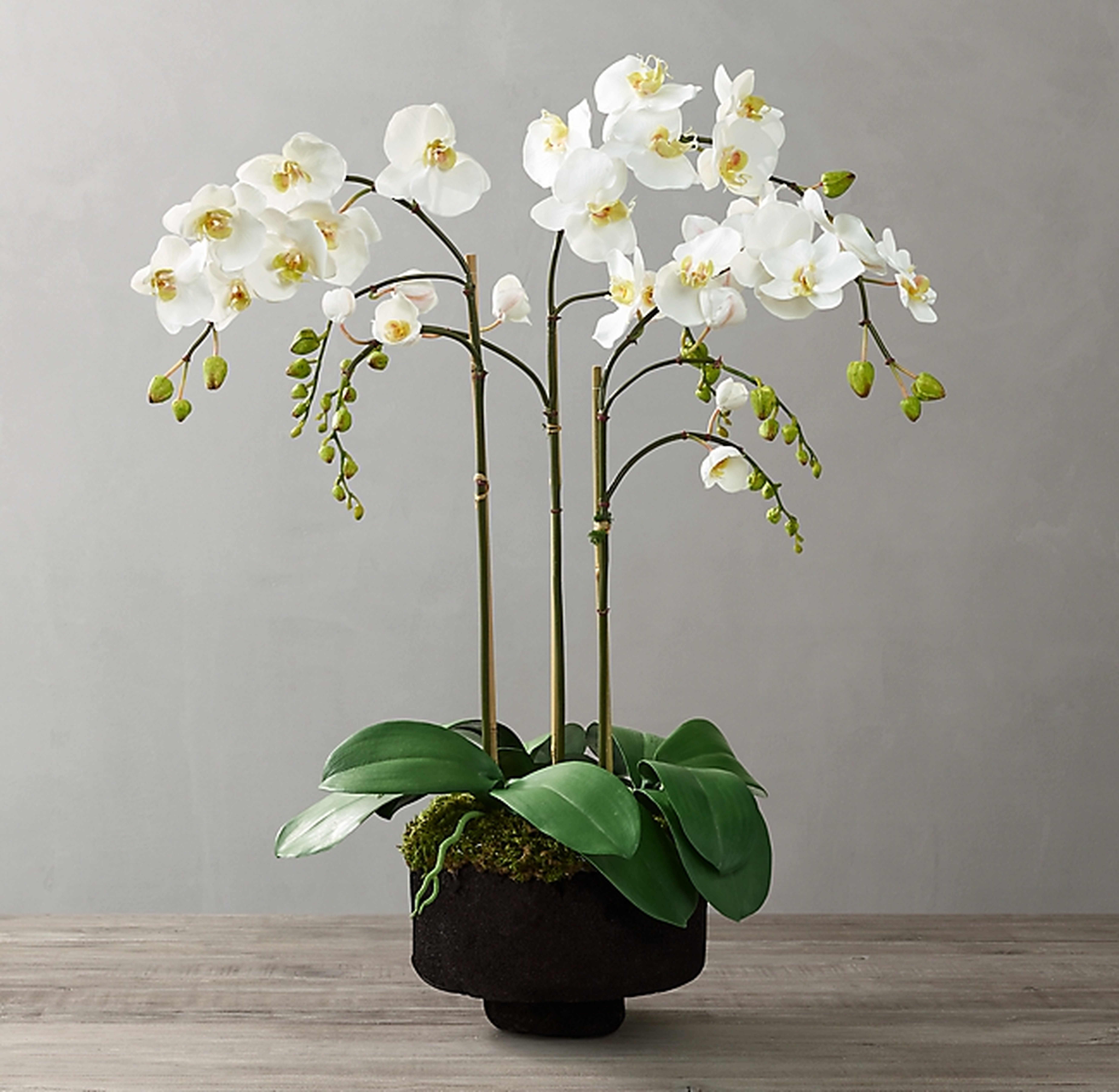 FAUX ORCHID PLANT FOR WEATHERED STONE TULIP PEDESTAL BOWL - SMALL - RH