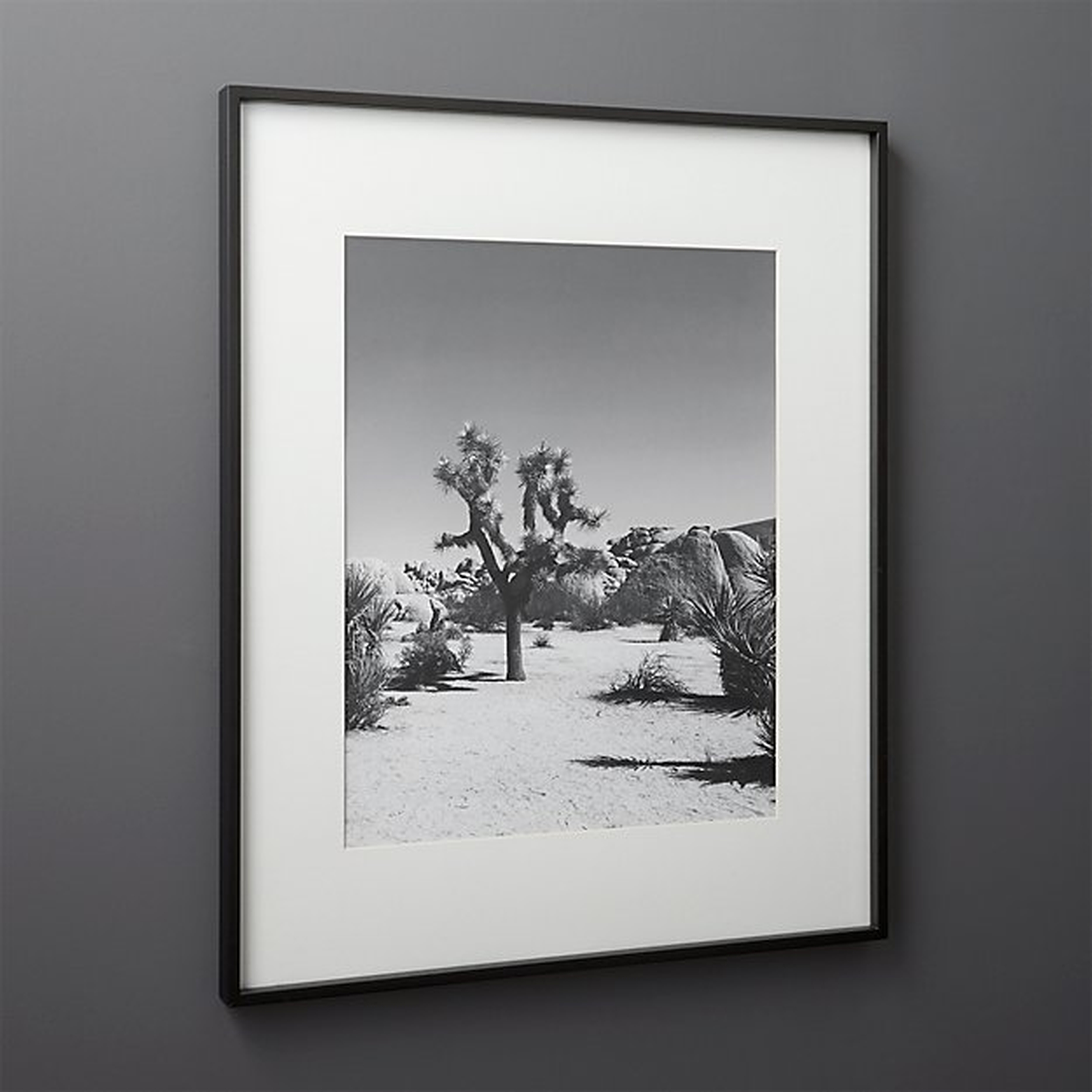 Gallery Black Frame with White Mat 16 x 20 - CB2