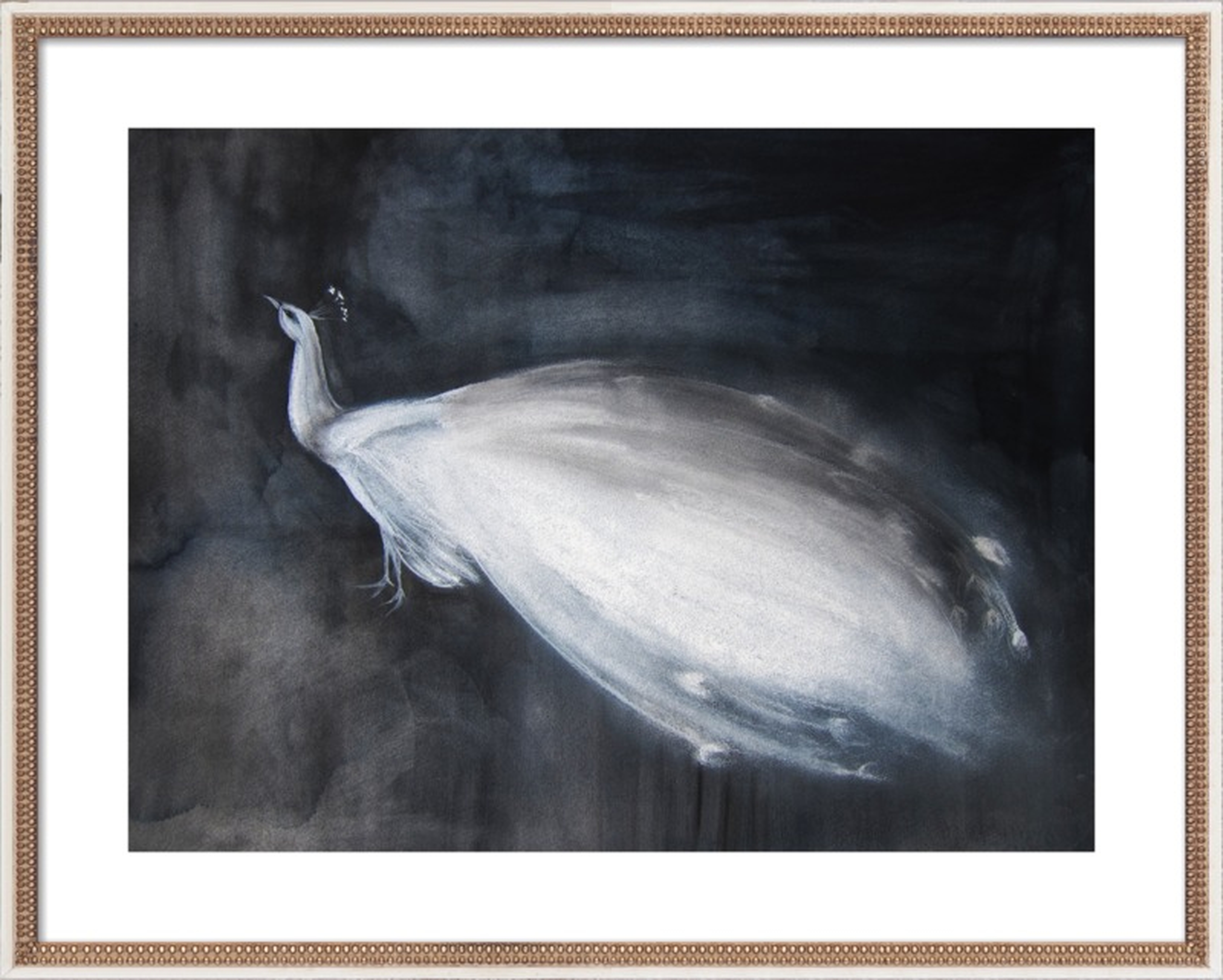 White Peacock - Artfully Walls