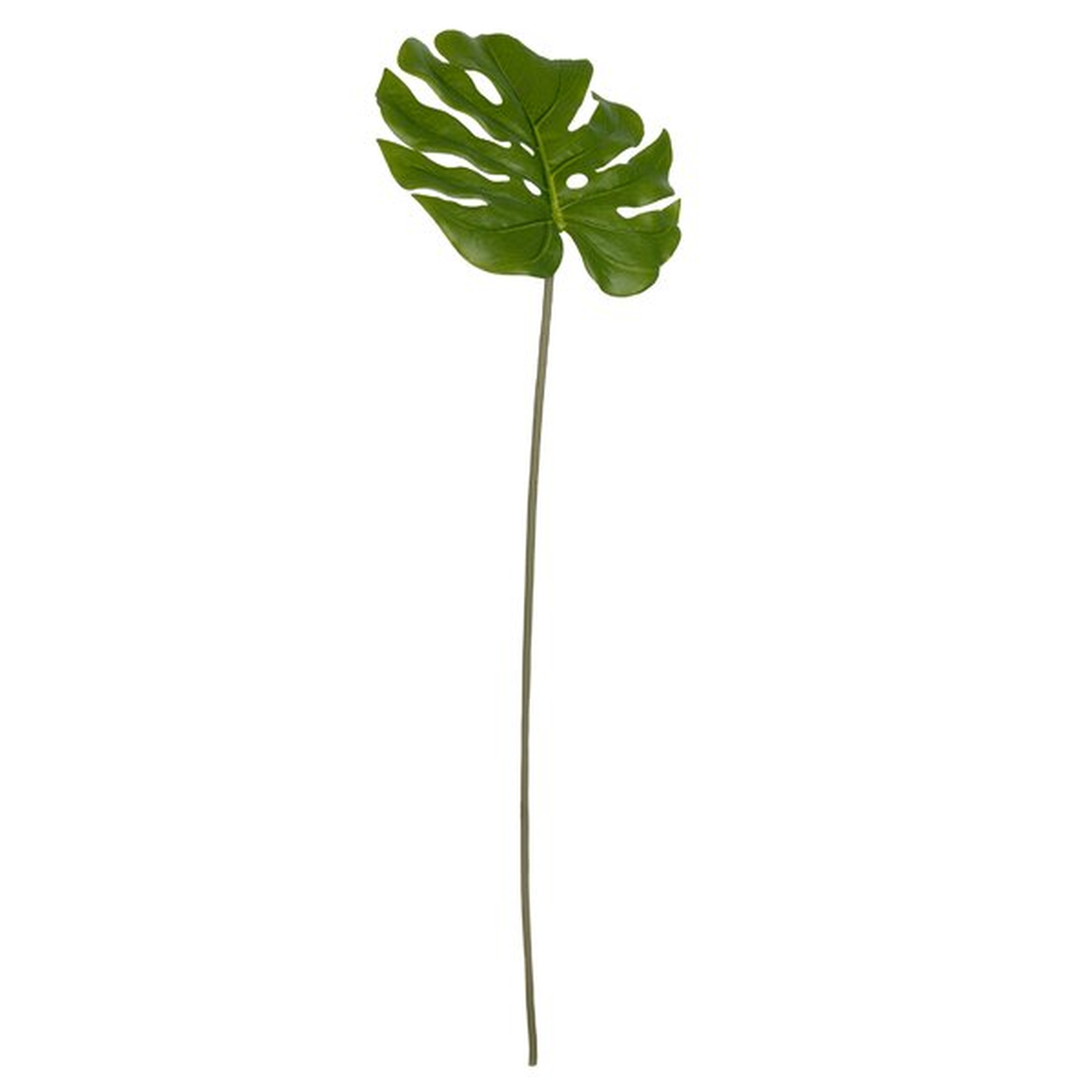 Monstera Leaf Stem - Wayfair