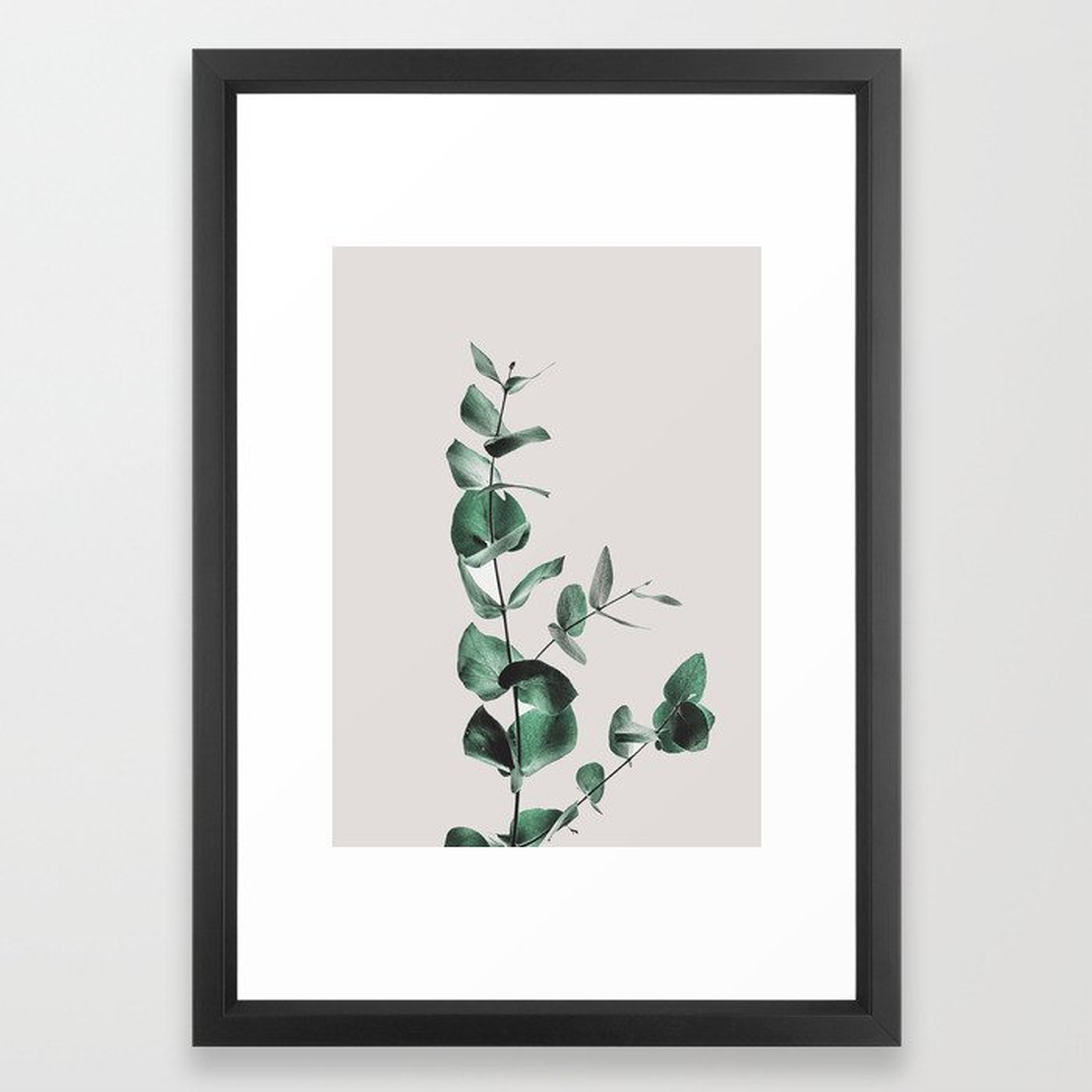Eucalyptus Framed Art Print - Society6