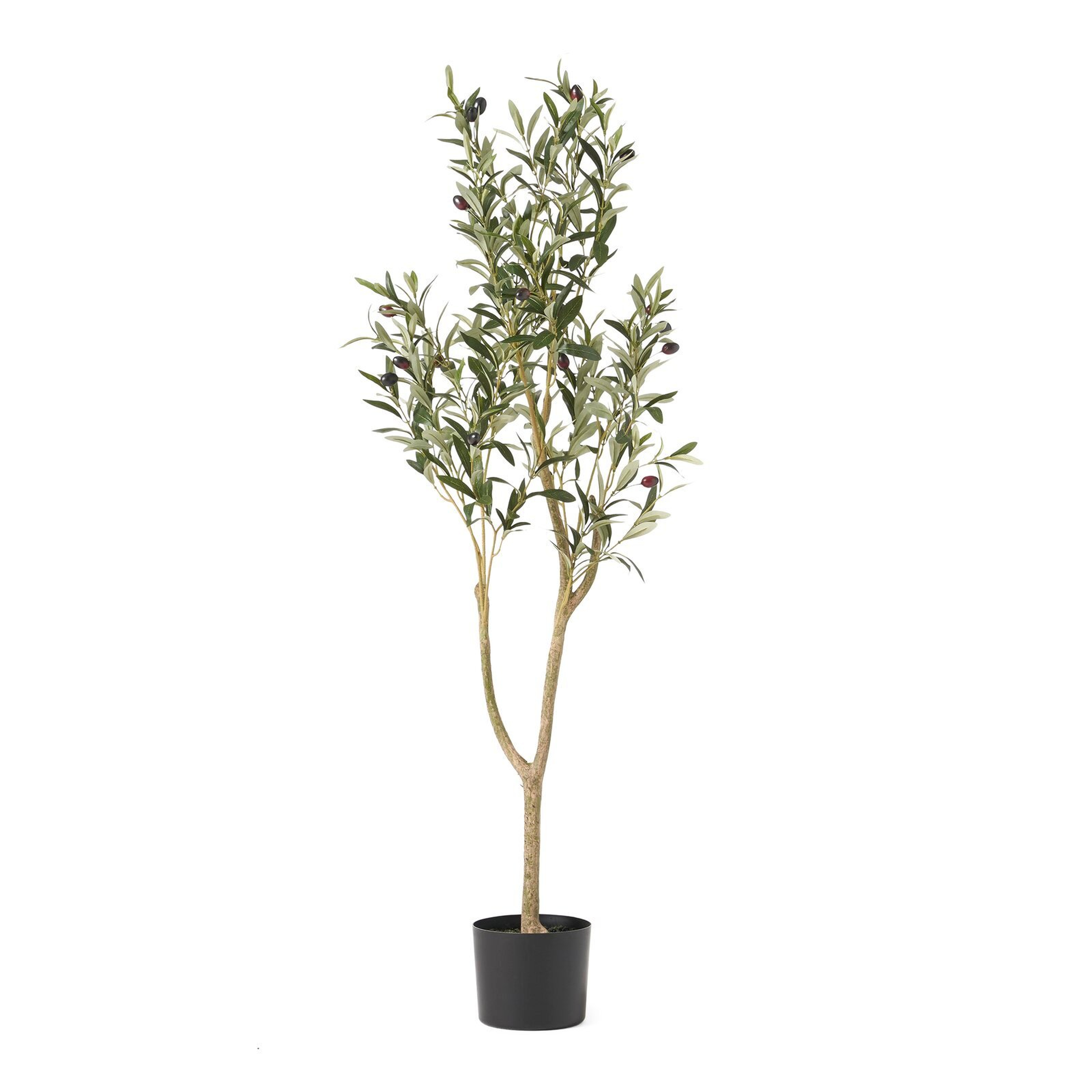 Rab Artificial Olive Tree in Pot - Wayfair