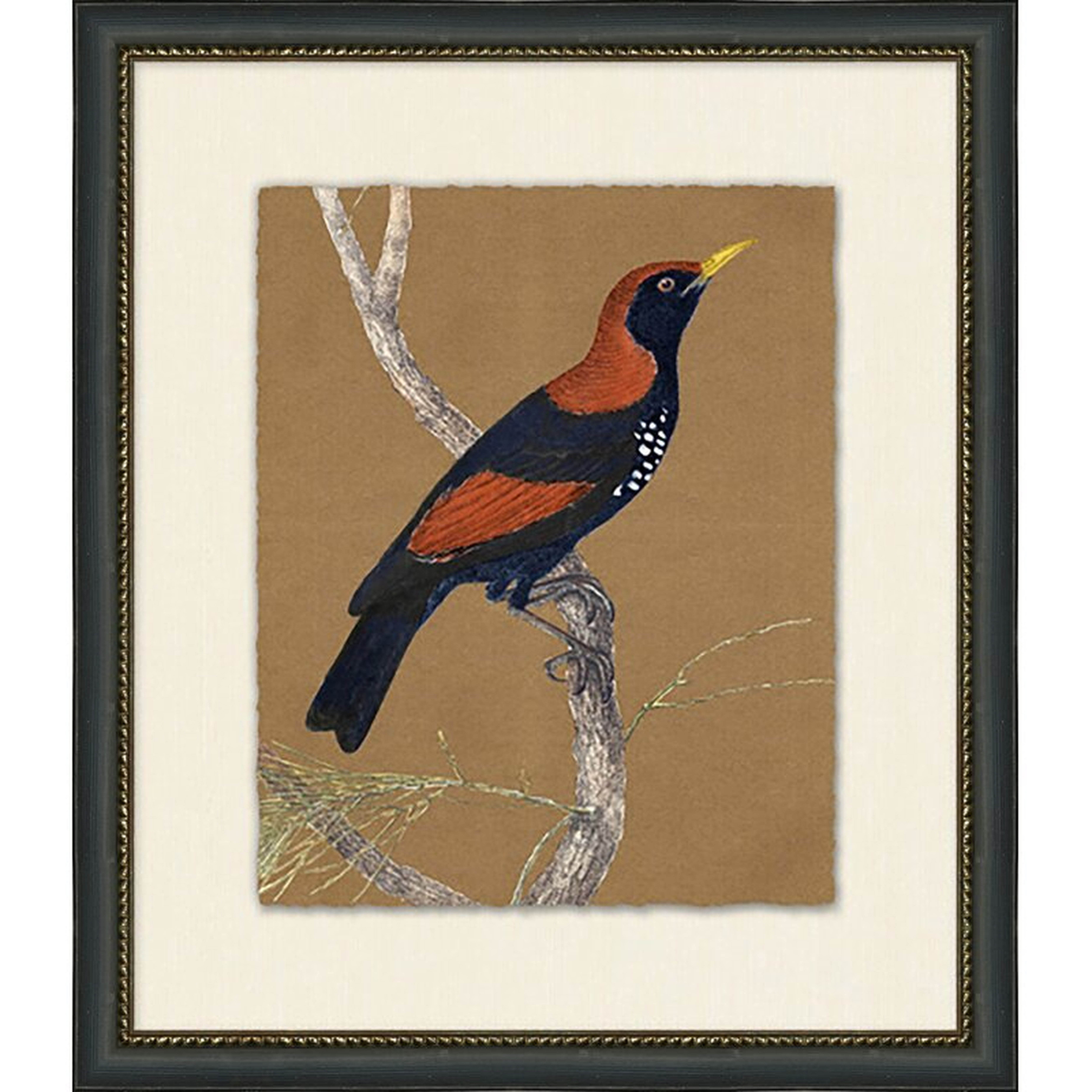 Wendover Art Group Autumn Bird 6 - Picture Frame Painting Print - Perigold