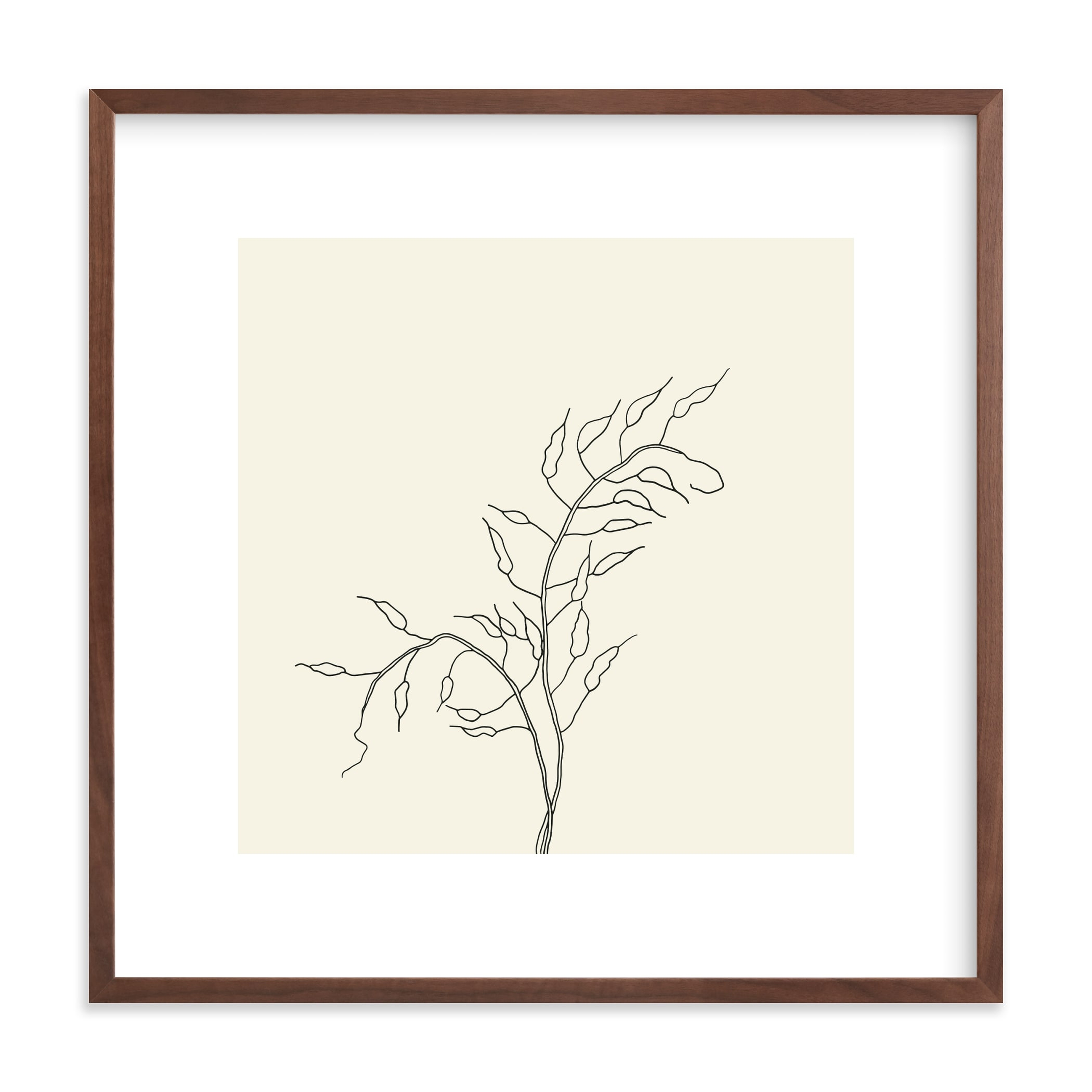 Wild Radish Art Print - Minted