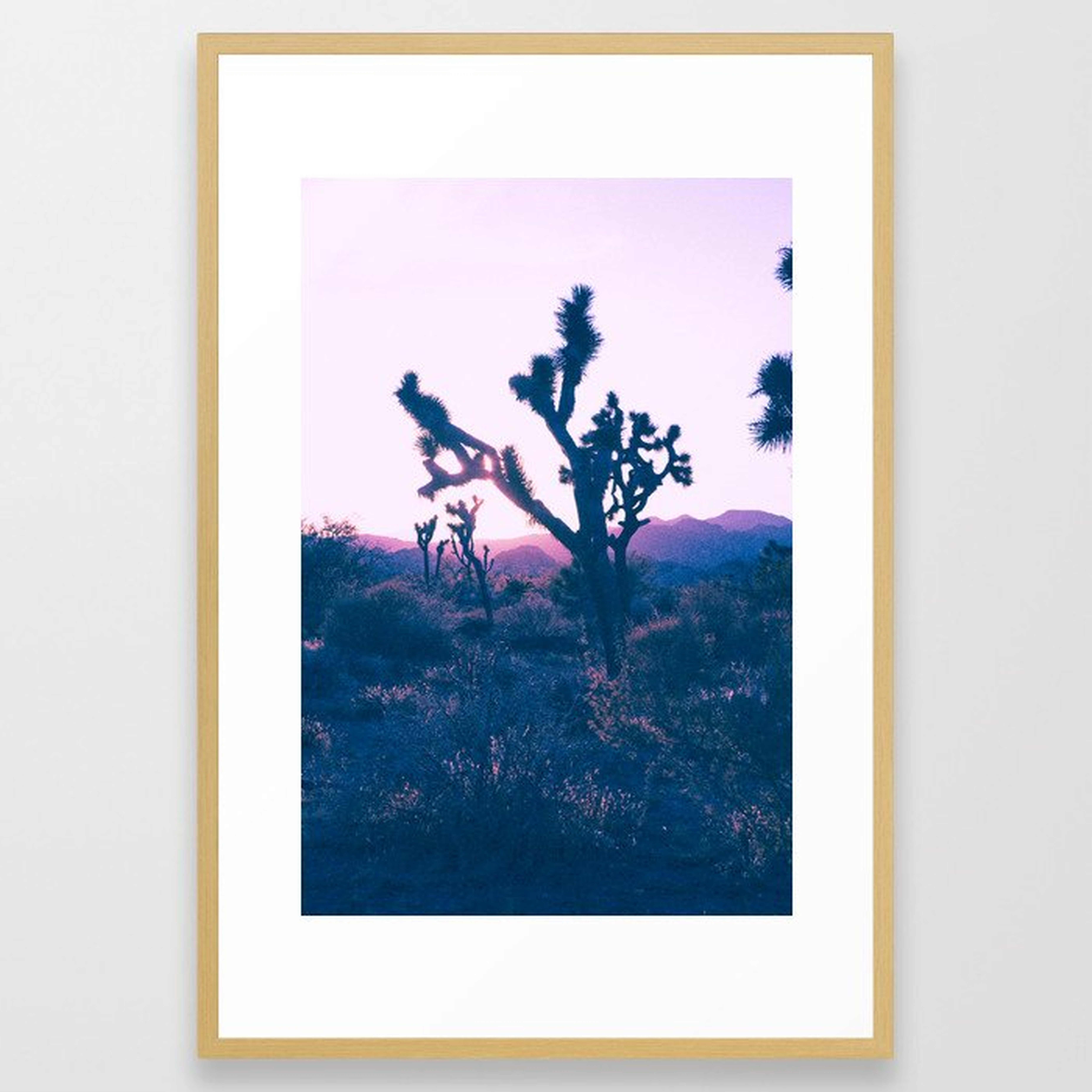 Desert Sunset - Conservation Natural - Society6