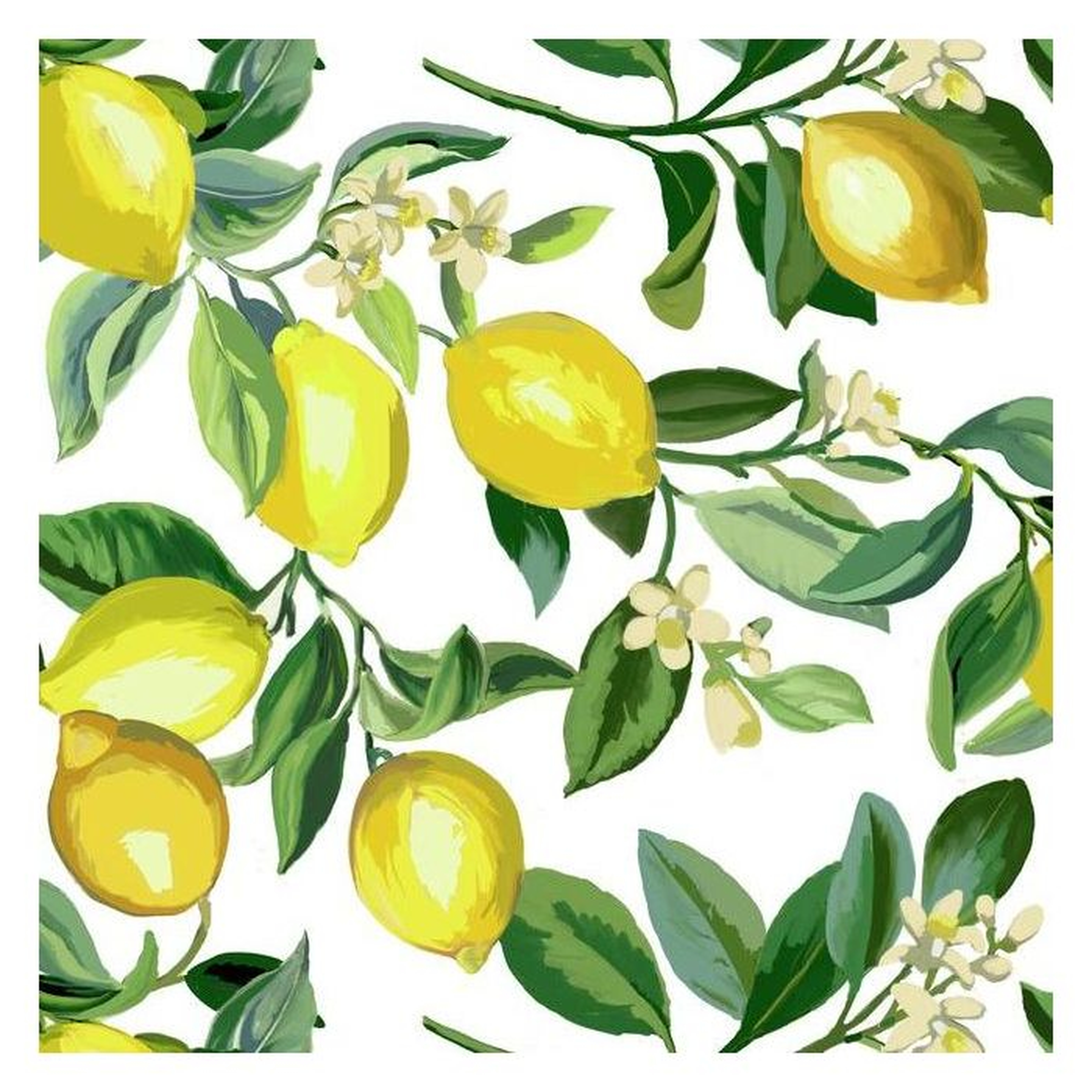 Lemon Zest Peel and Stick Wallpaper - York Wallcoverings